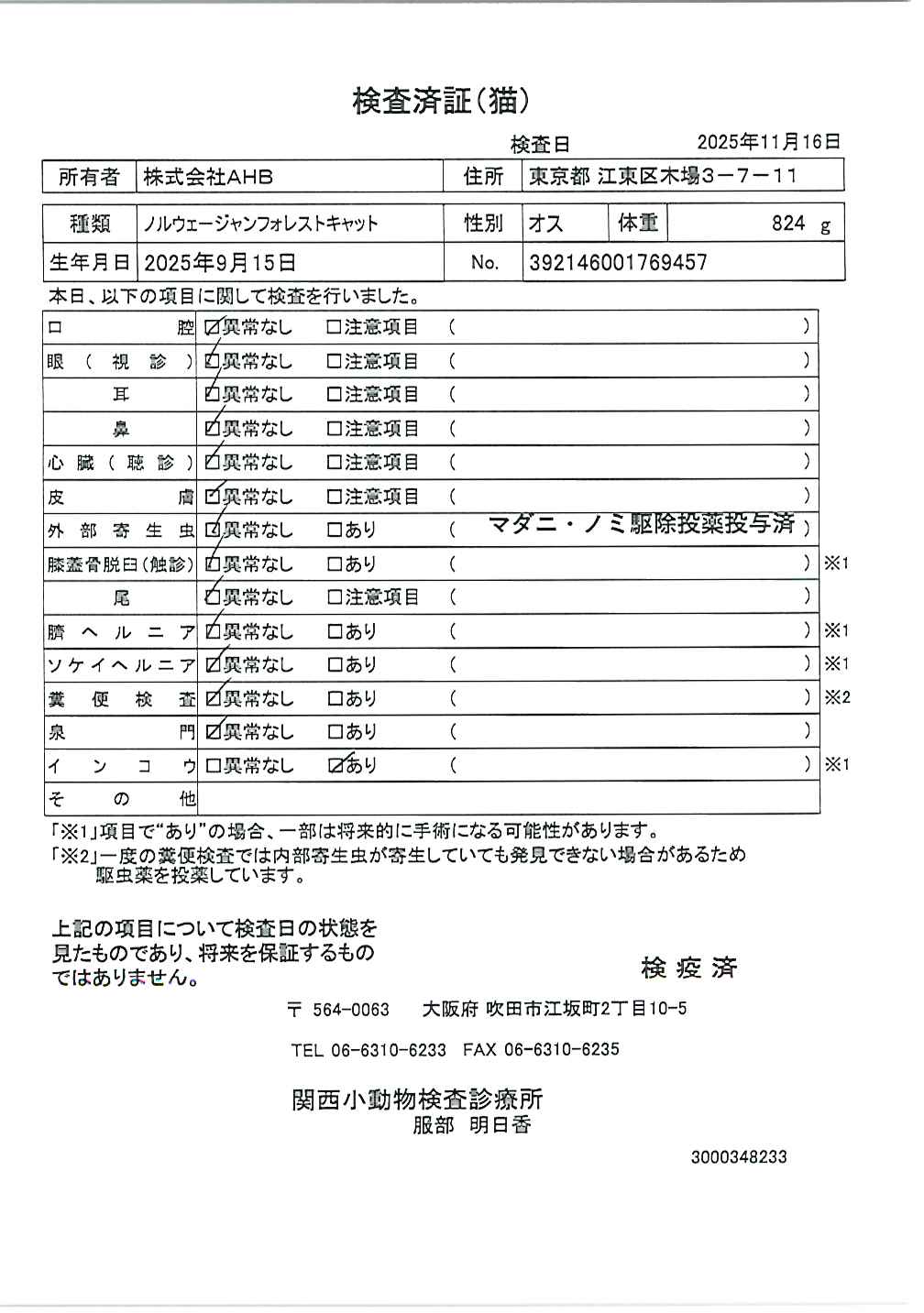 ノルウェージャンフォレストキャット