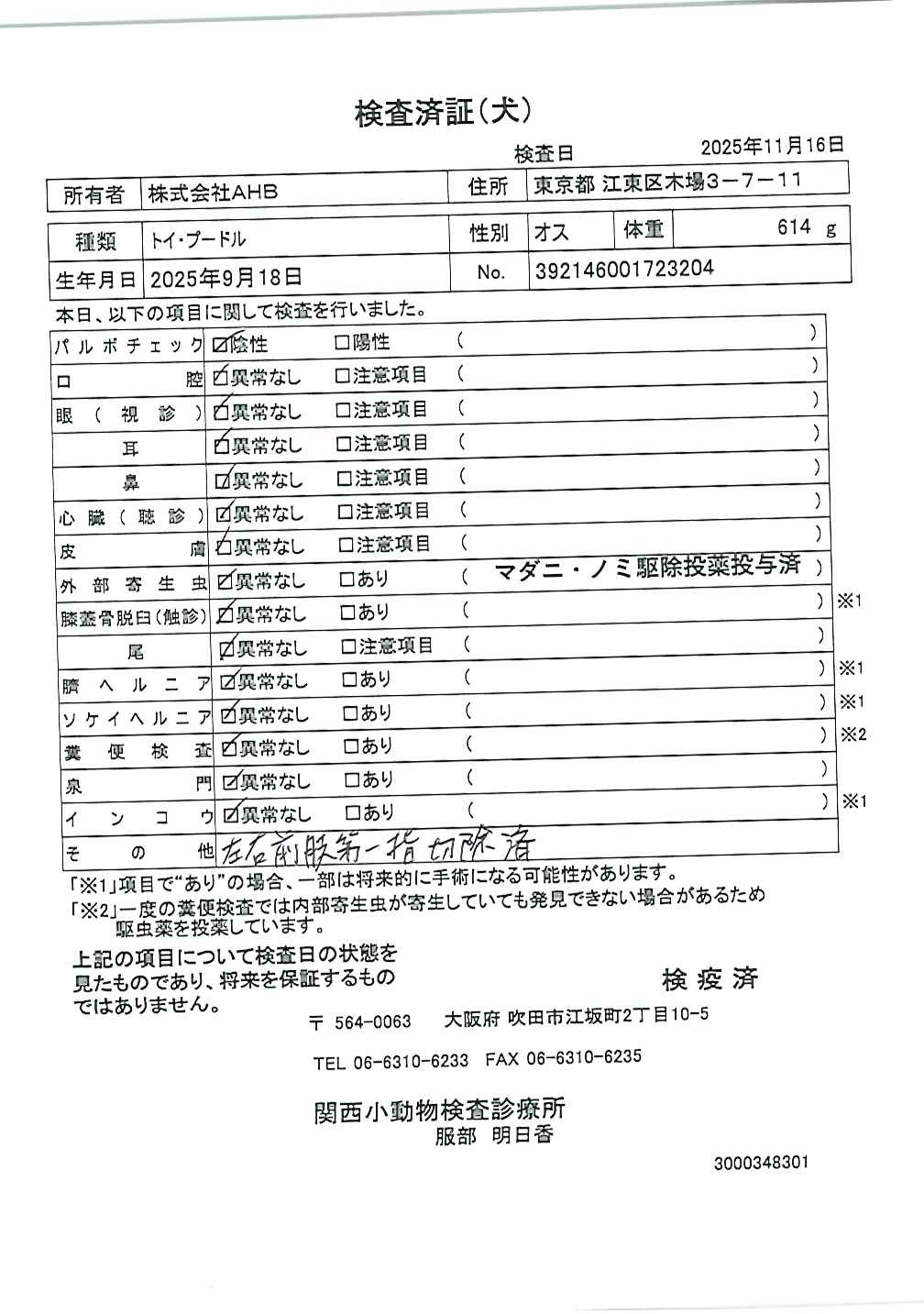 トイ・プードル