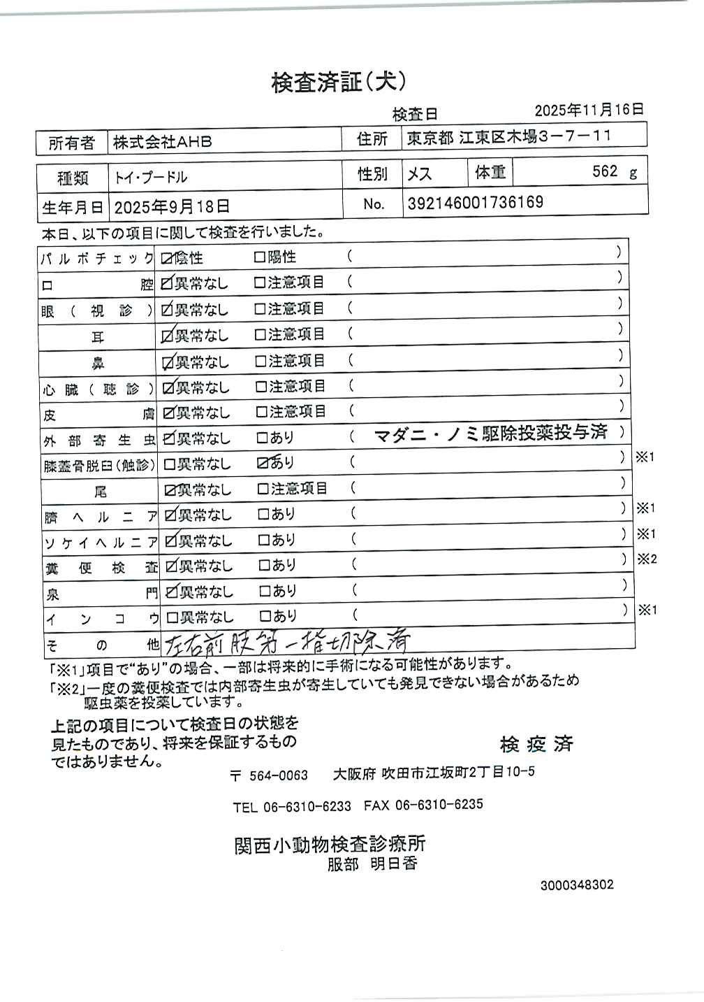 トイ・プードル