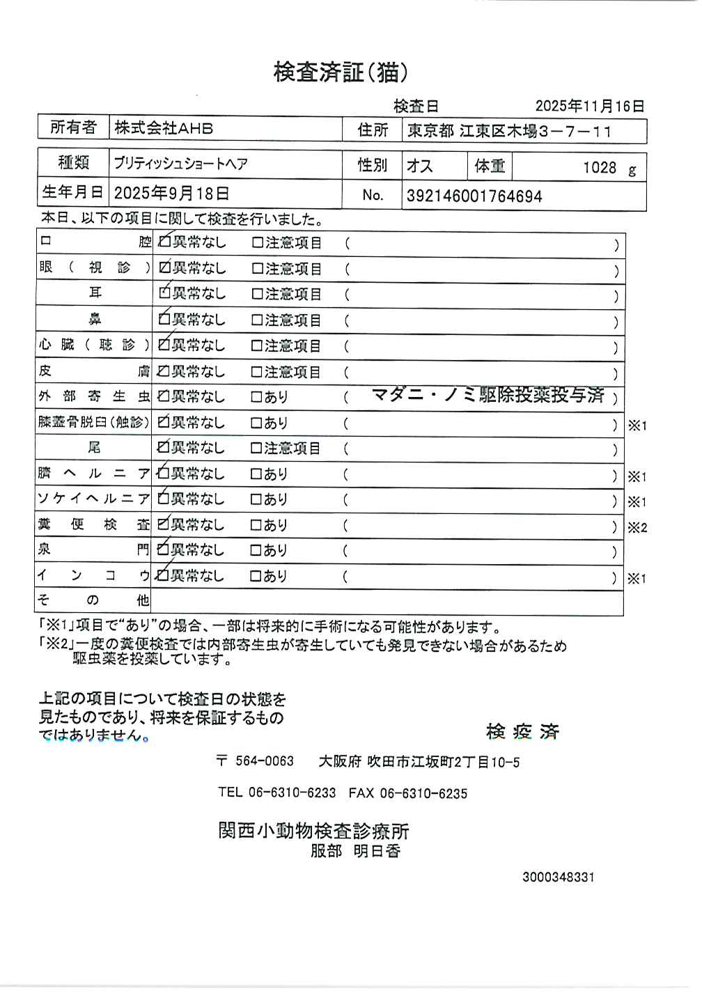 ブリティッシュショートヘア