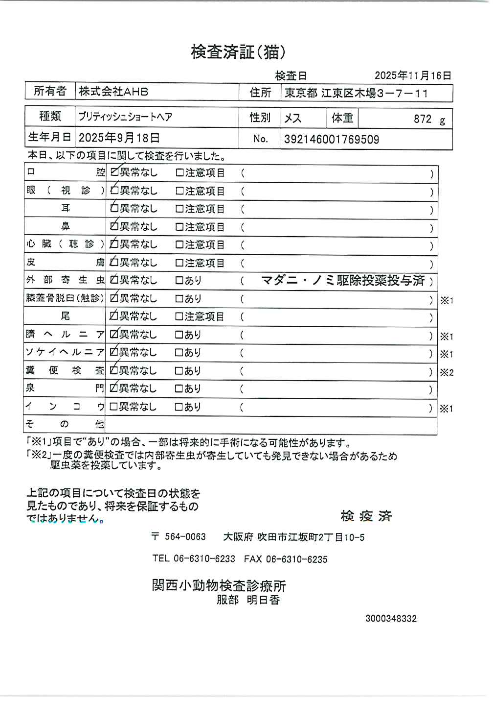 ブリティッシュショートヘア