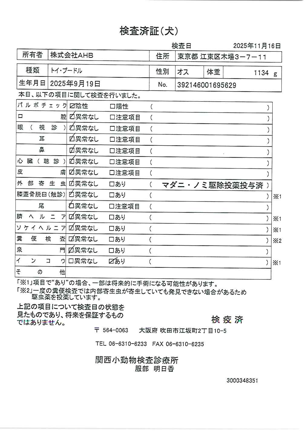トイ・プードル