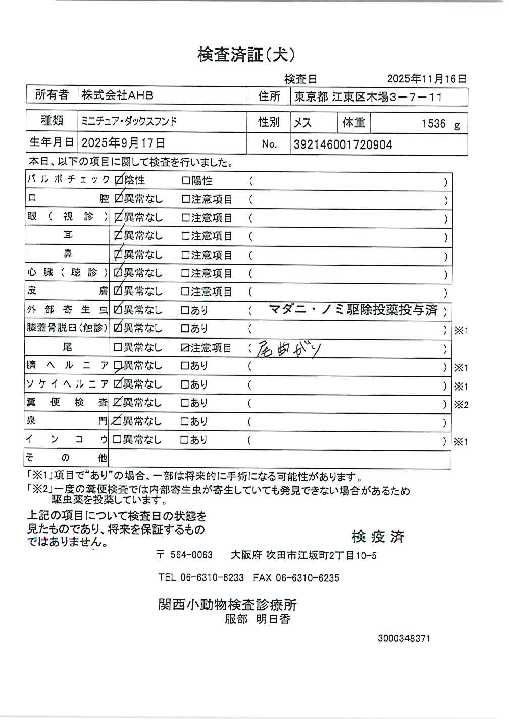 ミニチュア・ダックスフンド