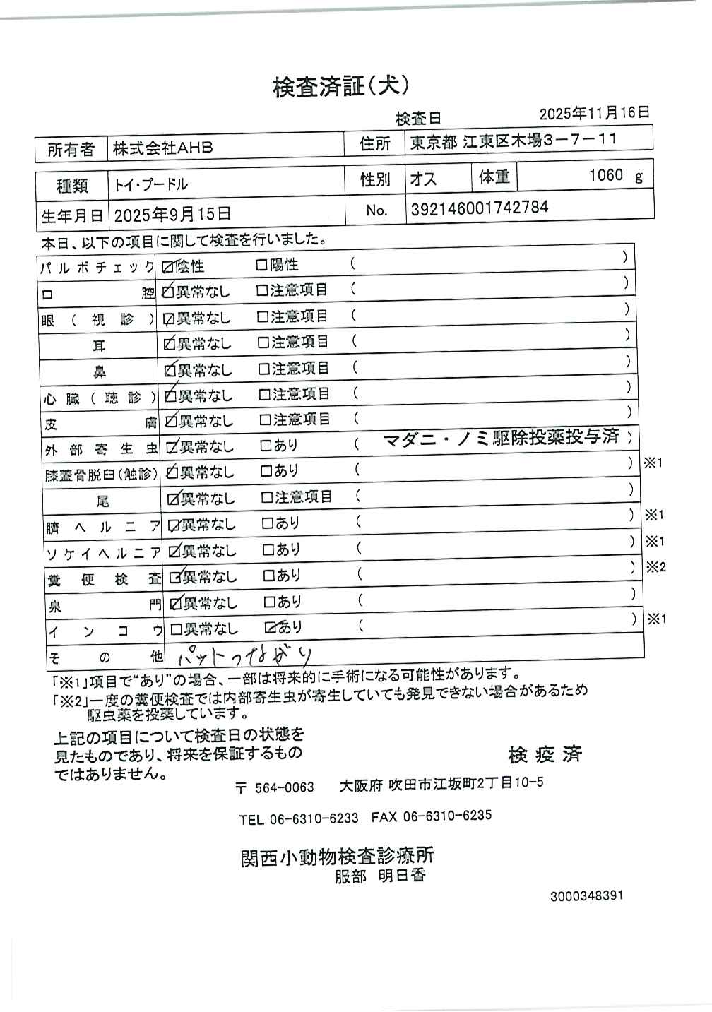 トイ・プードル