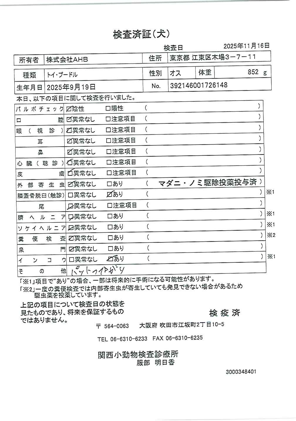 トイ・プードル
