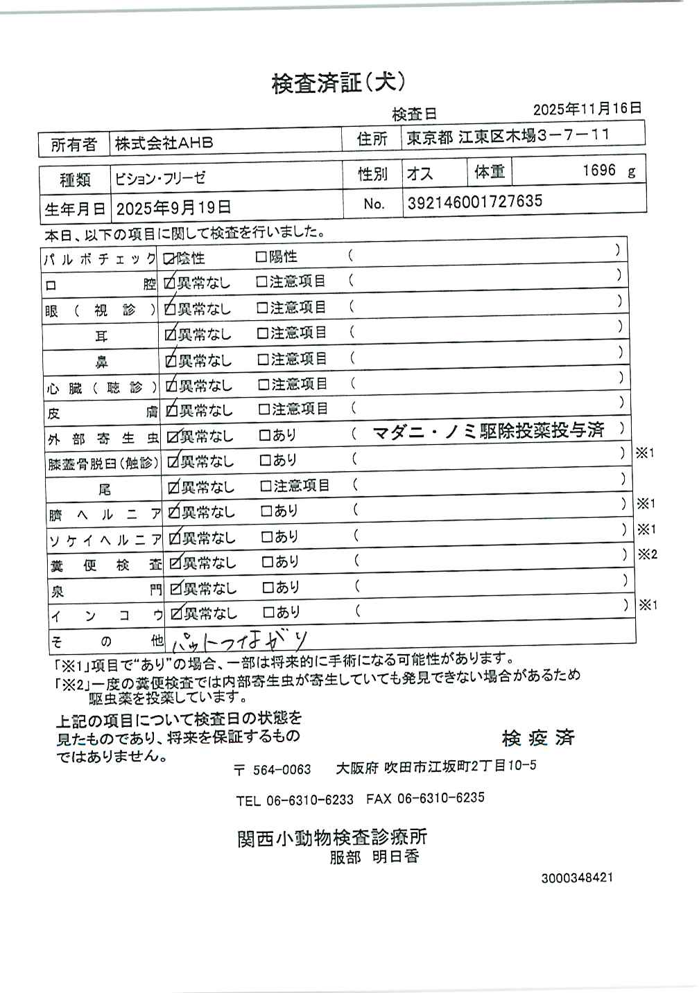 ビション・フリーゼ