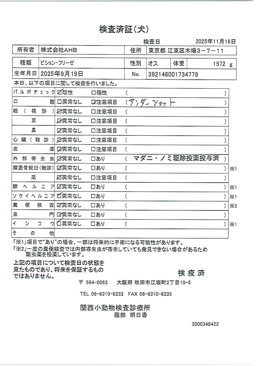 ビション・フリーゼ