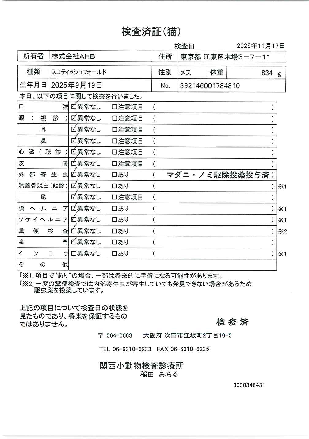 スコティッシュフォールド