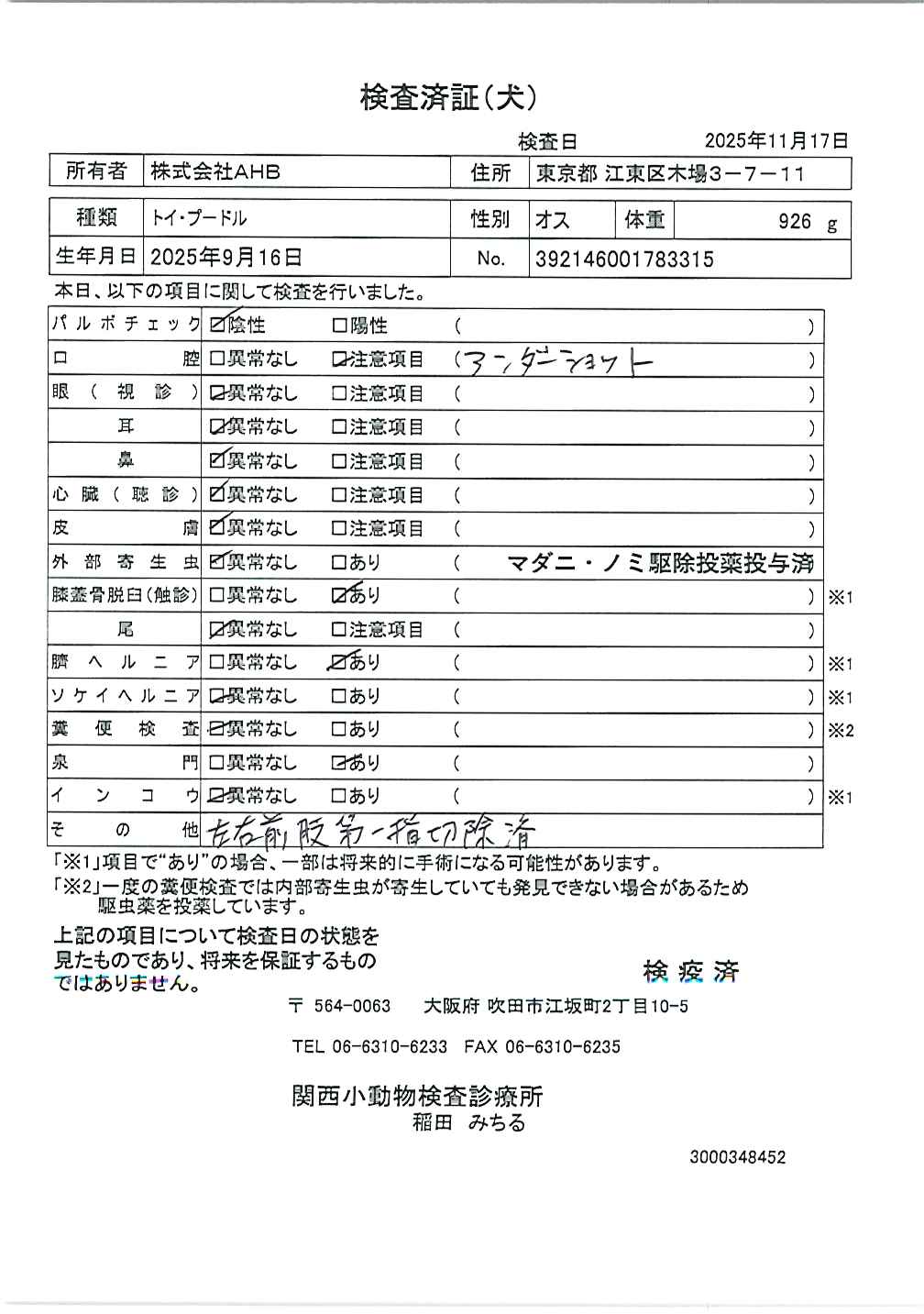 トイ・プードル