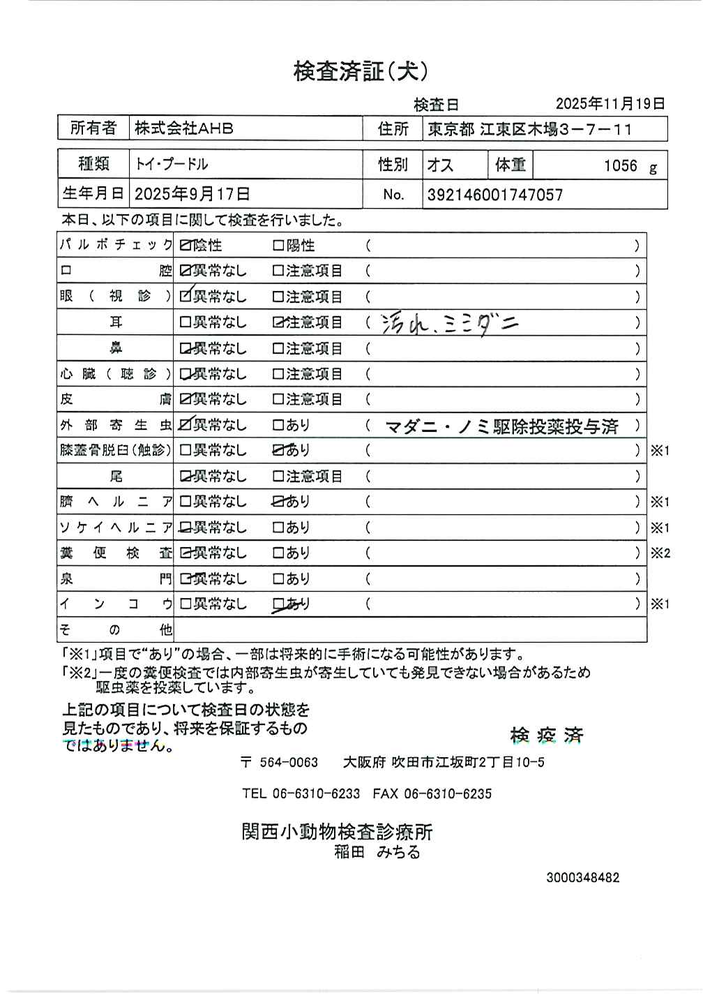 トイ・プードル