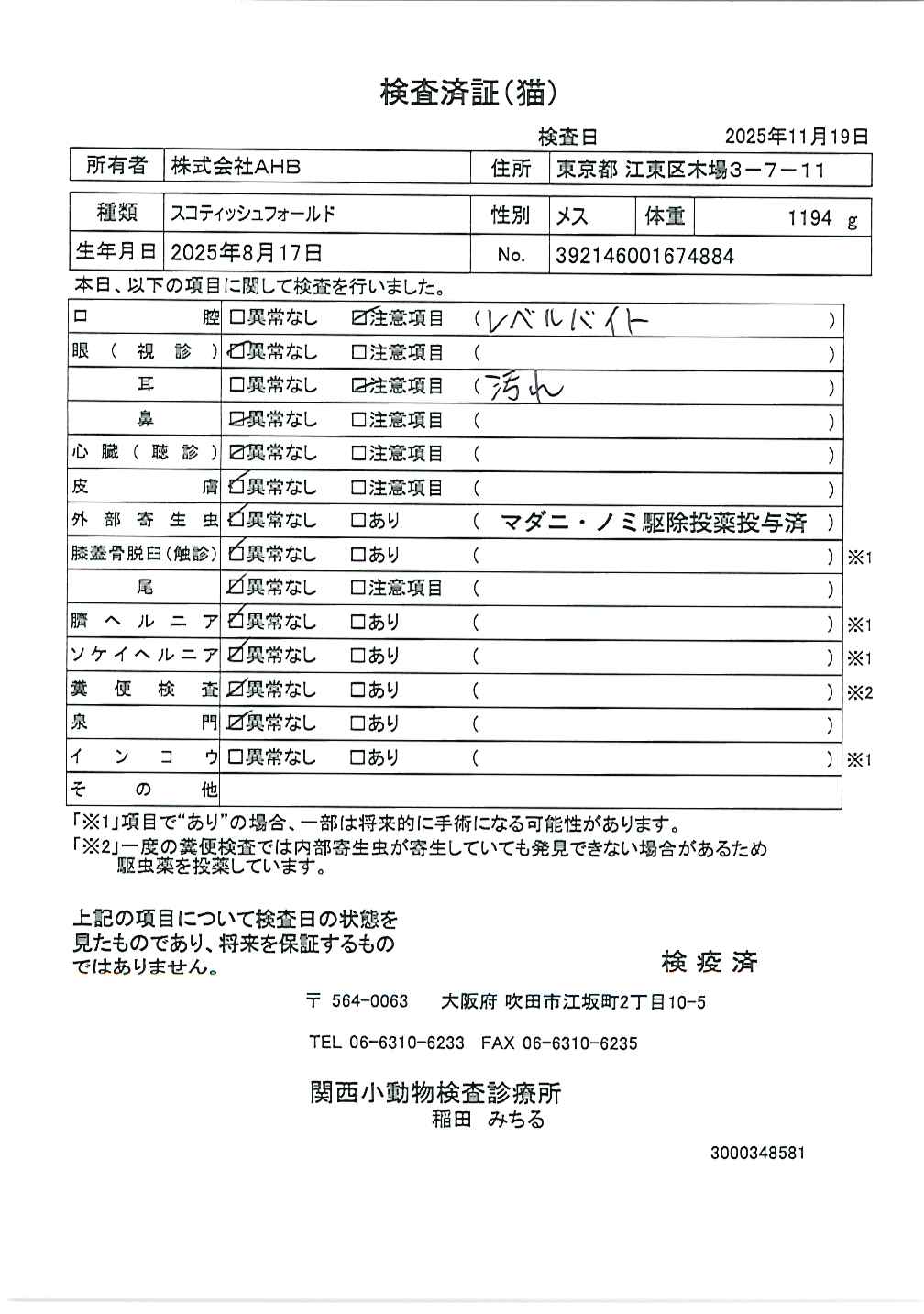 スコティッシュフォールド