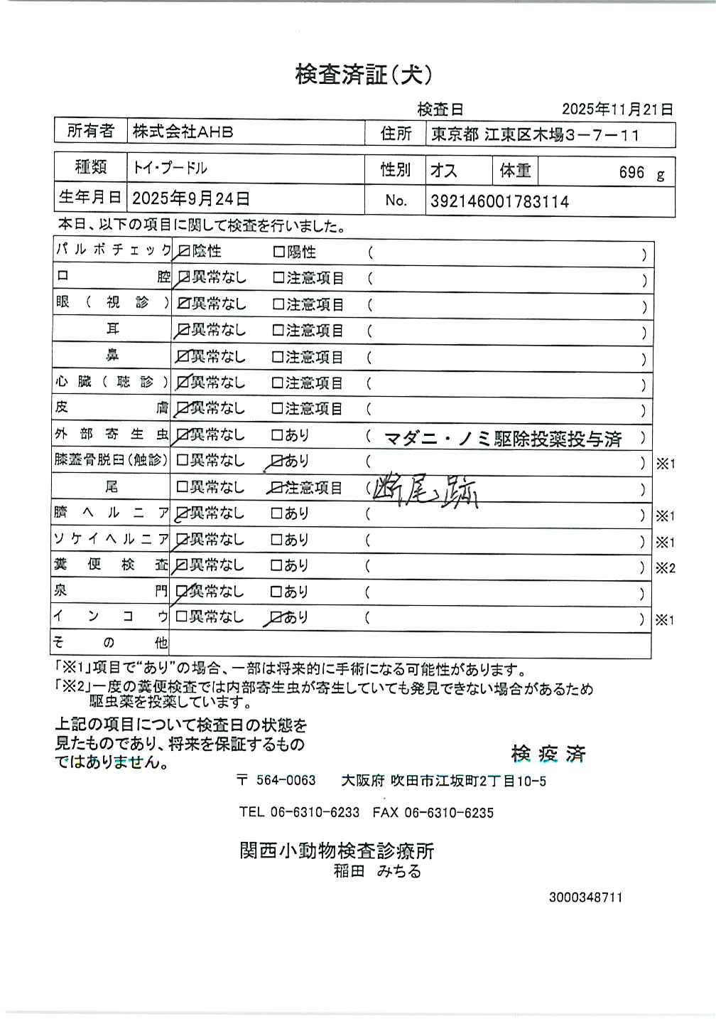 トイ・プードル