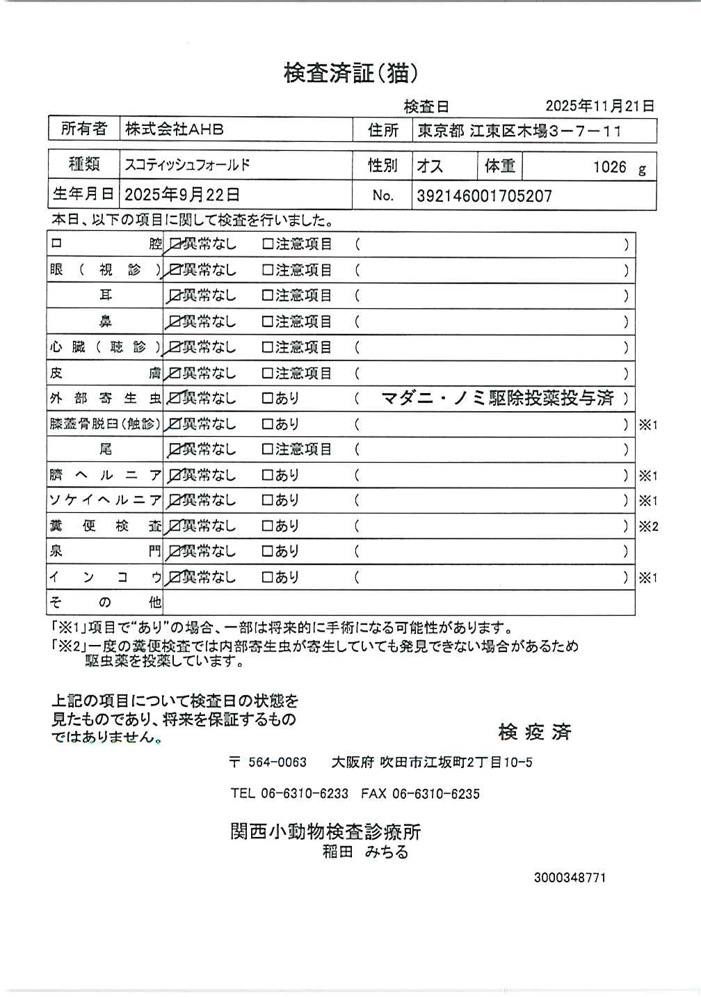 スコティッシュフォールド