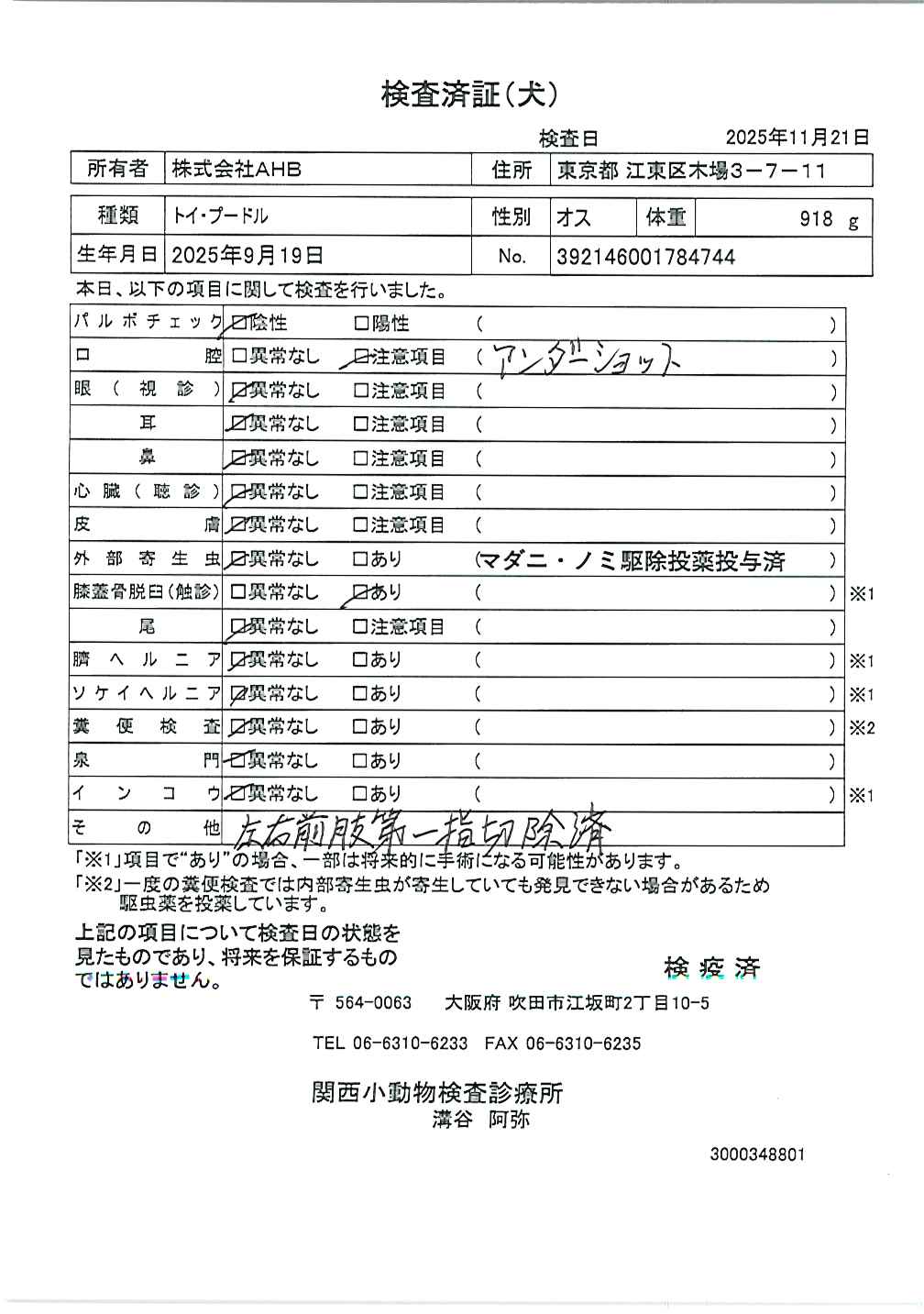 トイ・プードル