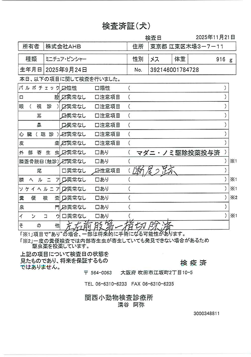 ミニチュア・ピンシャー