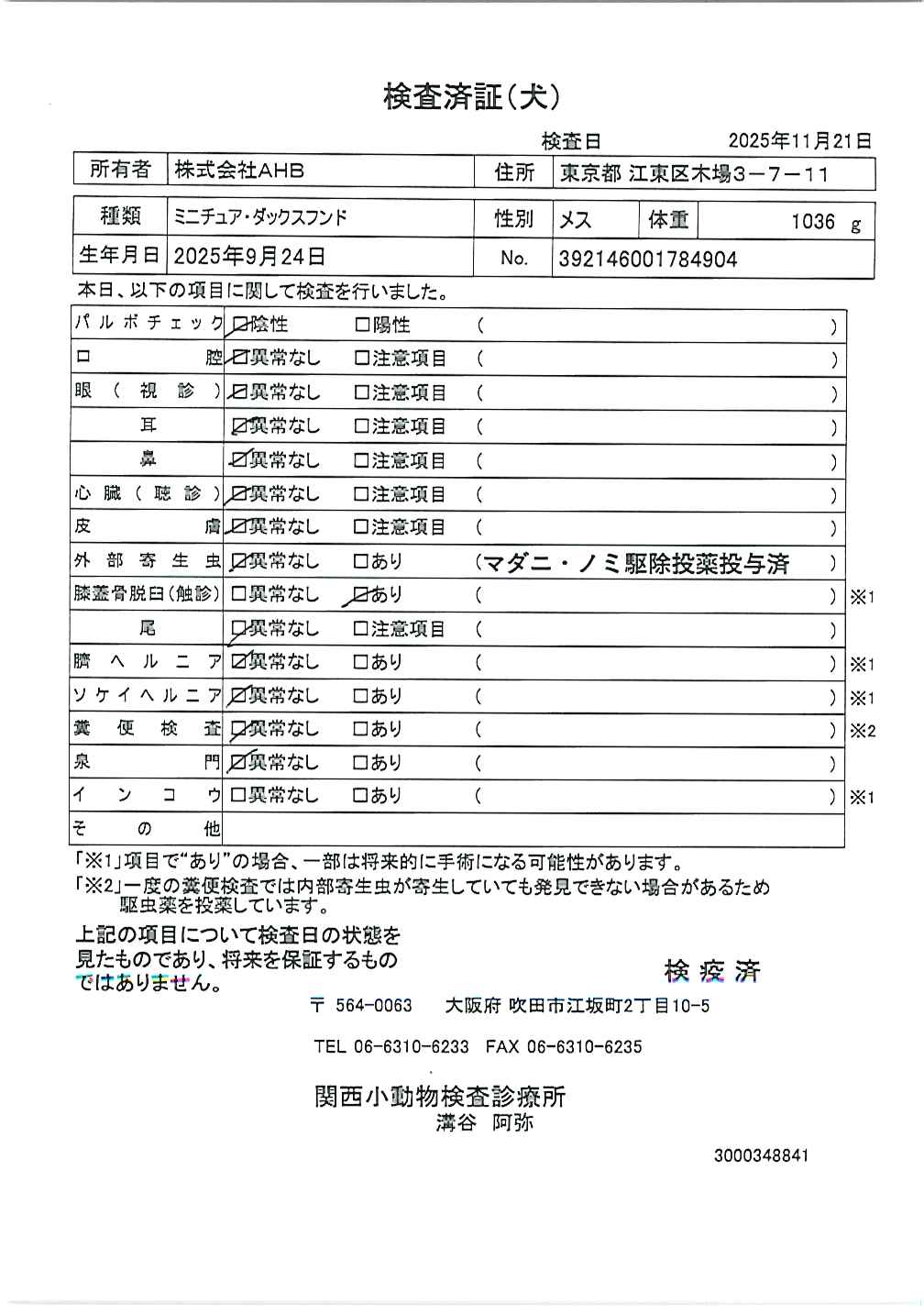 ミニチュア・ダックスフンド