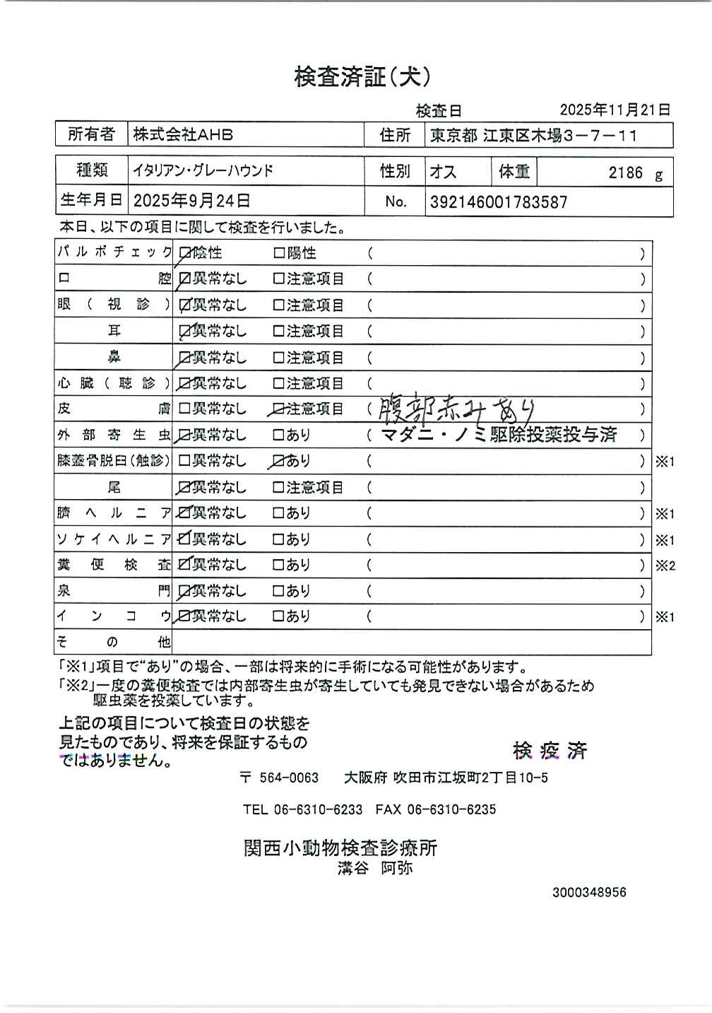 イタリアン・グレーハウンド