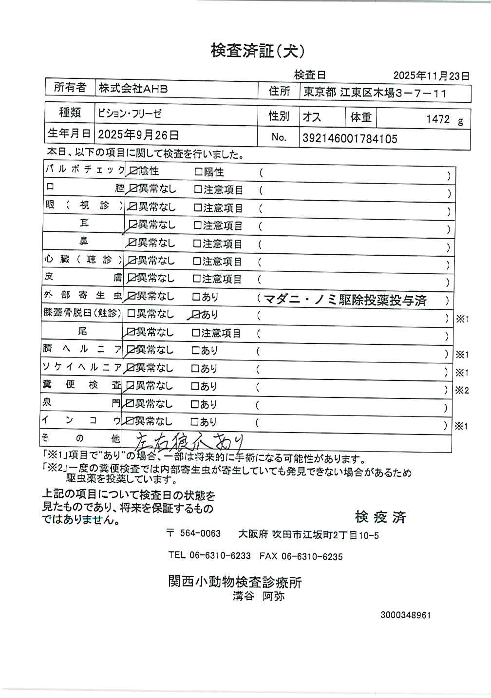 ビション・フリーゼ