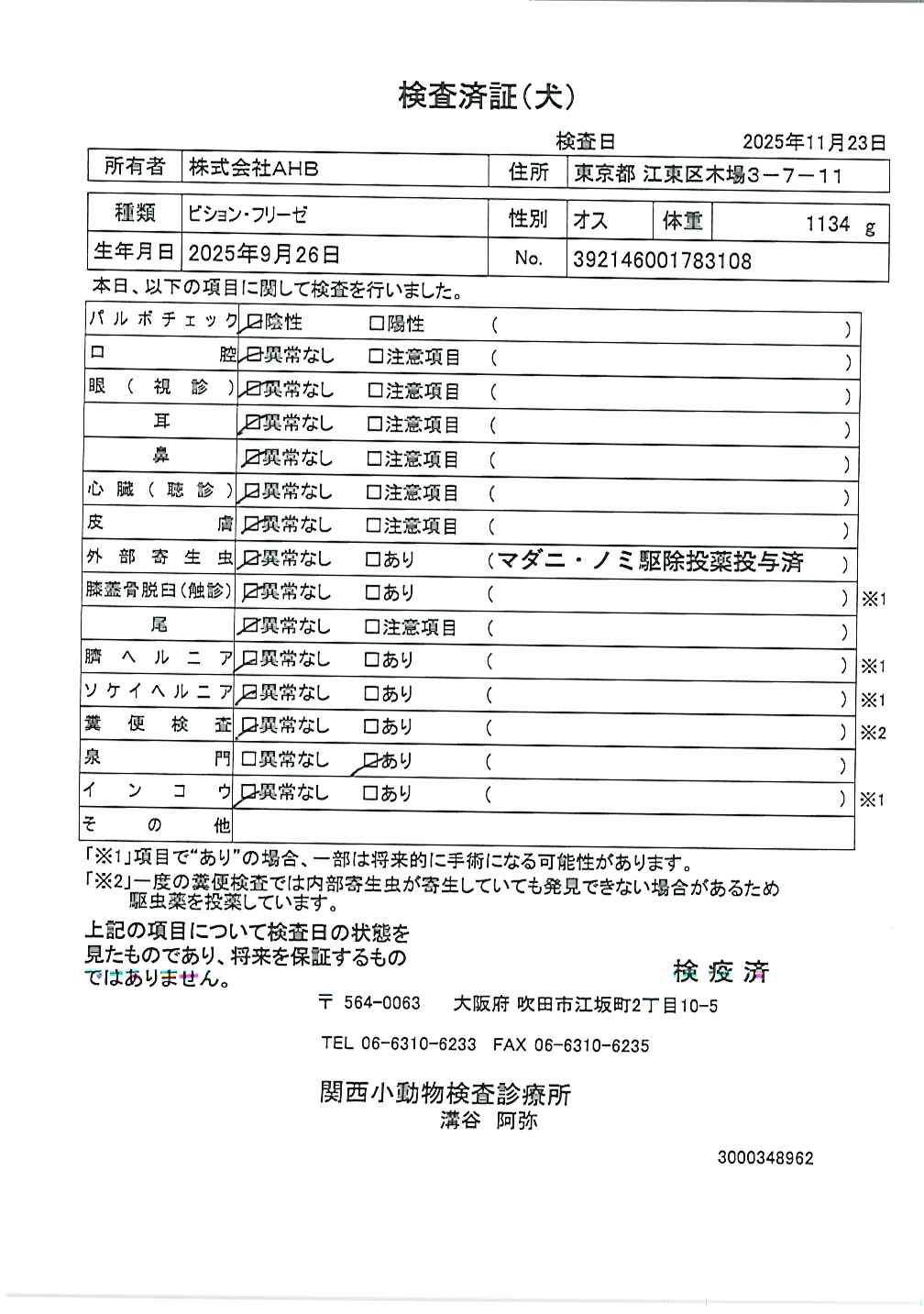 ビション・フリーゼ