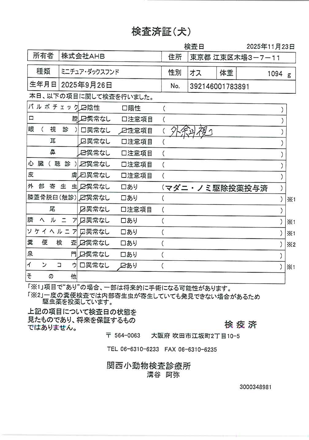 ミニチュア・ダックスフンド