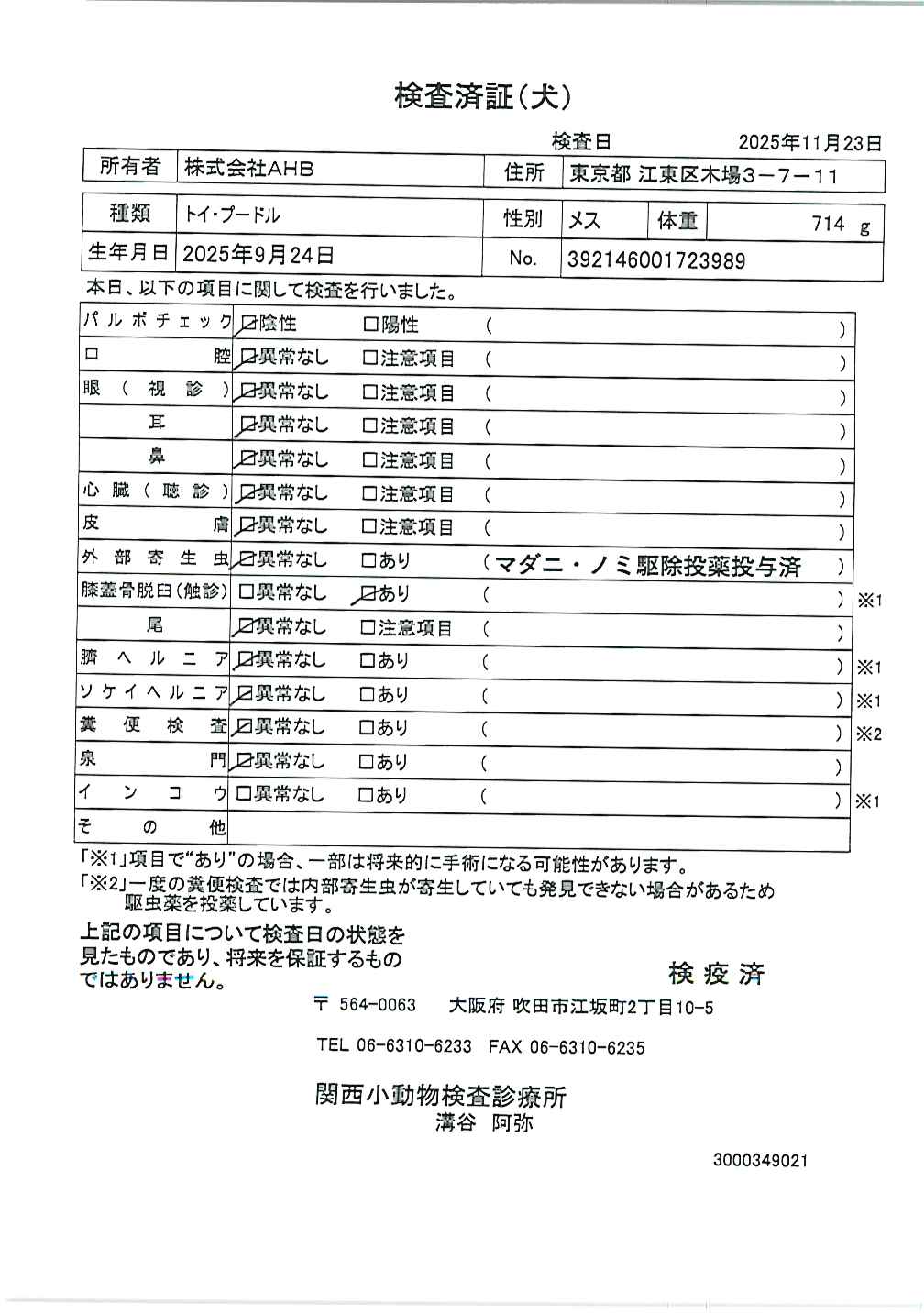 トイ・プードル