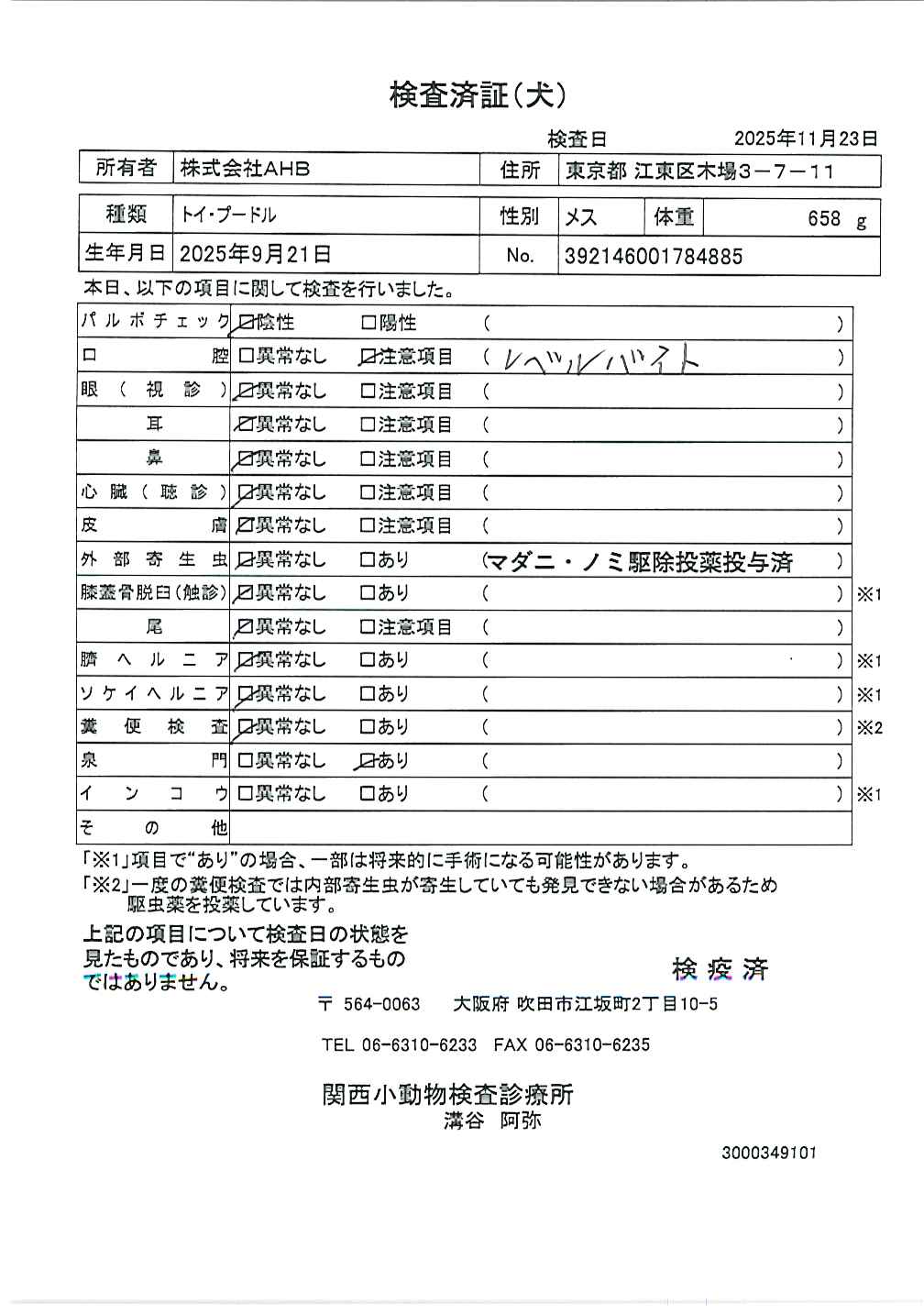 トイ・プードル