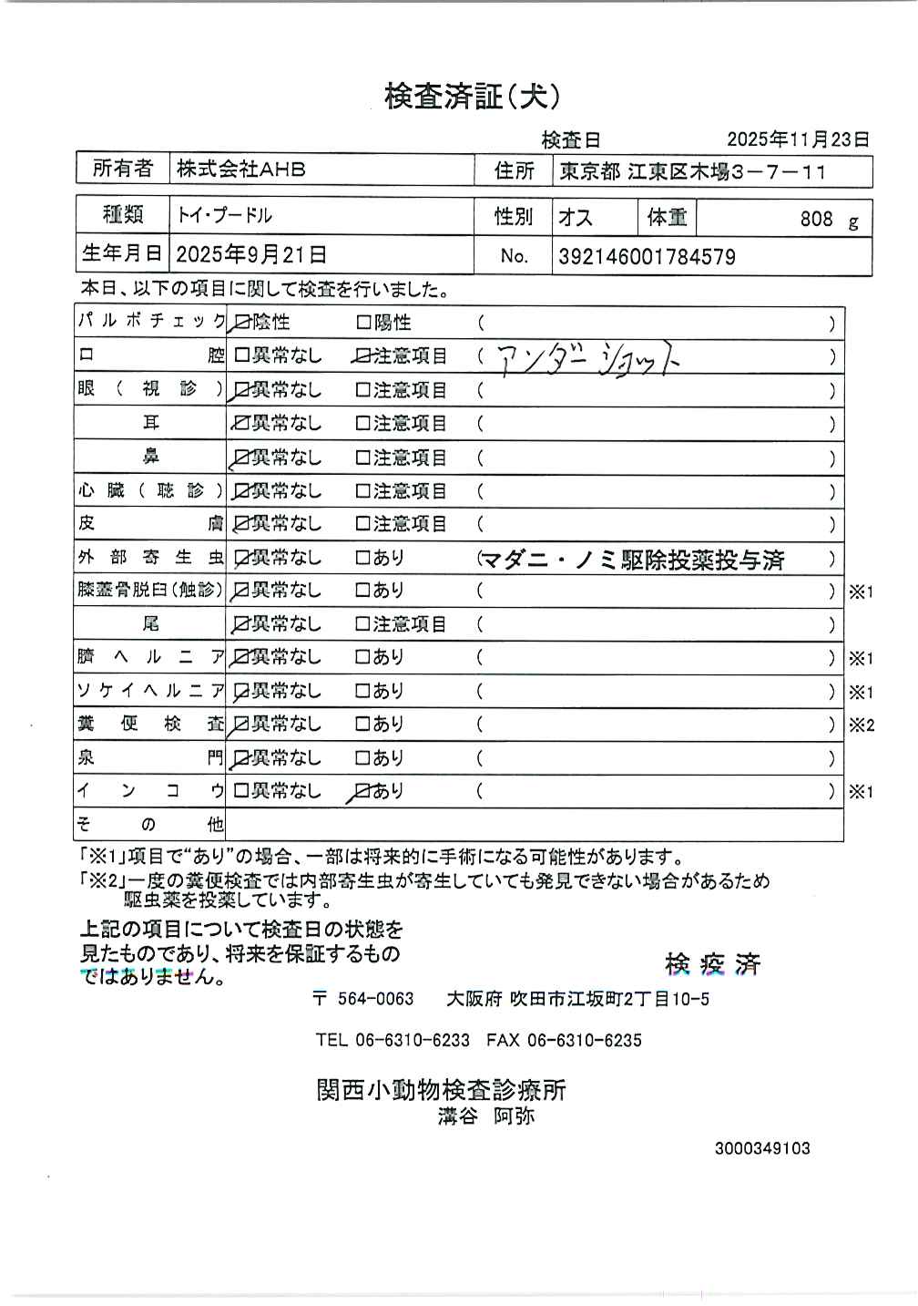 トイ・プードル