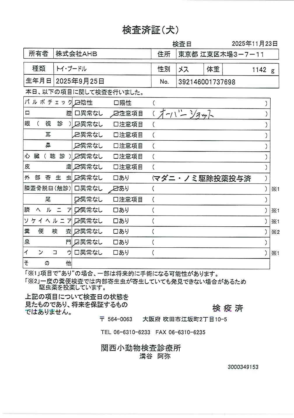 トイ・プードル