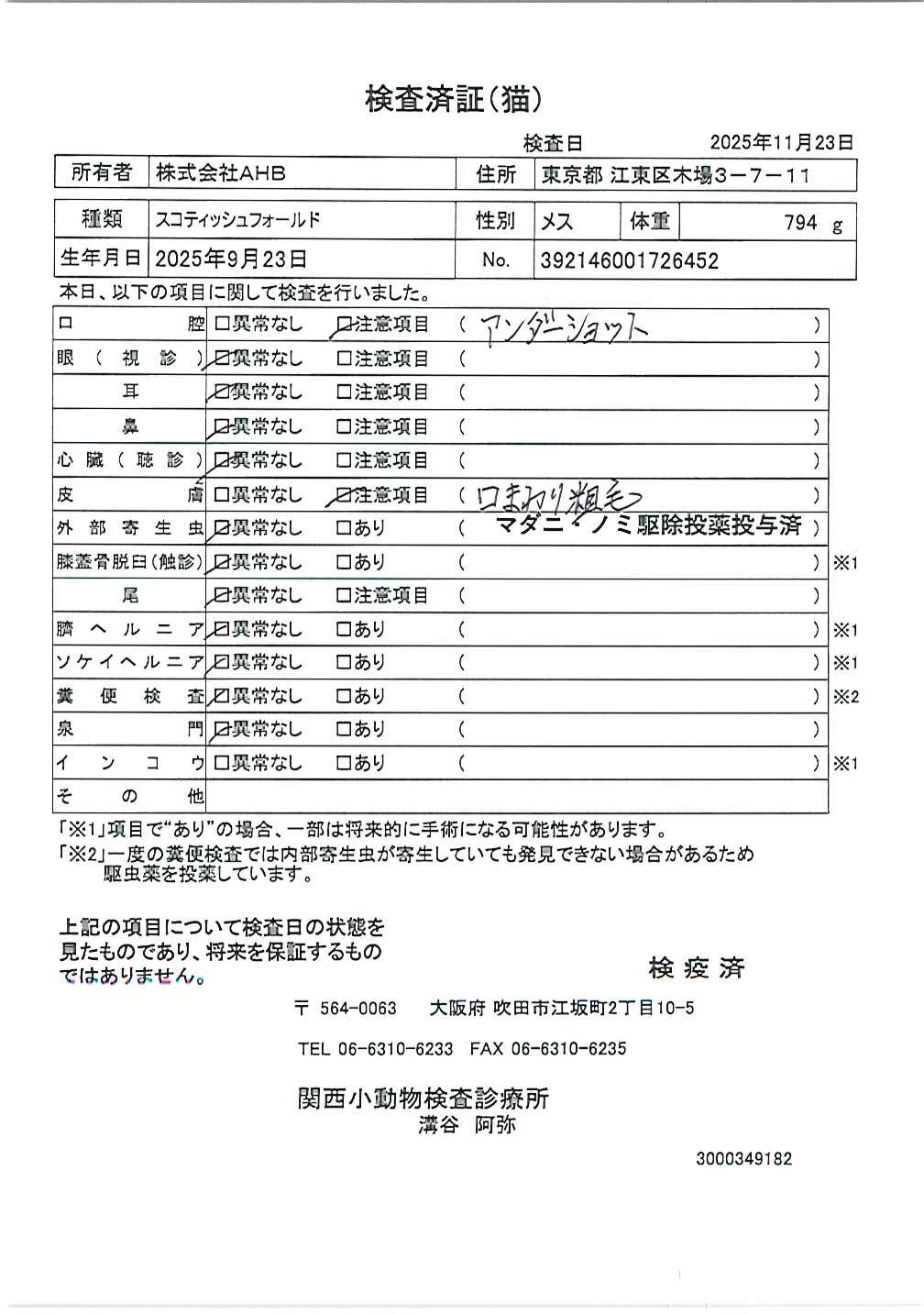 スコティッシュフォールド