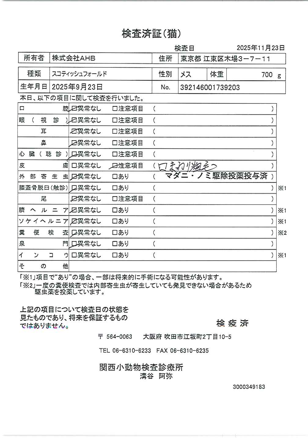 スコティッシュフォールド