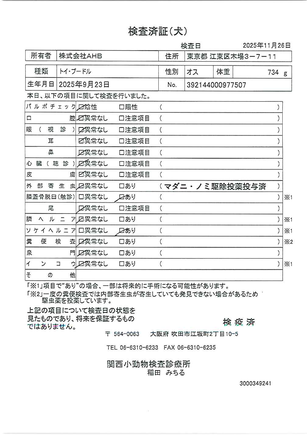 トイ・プードル