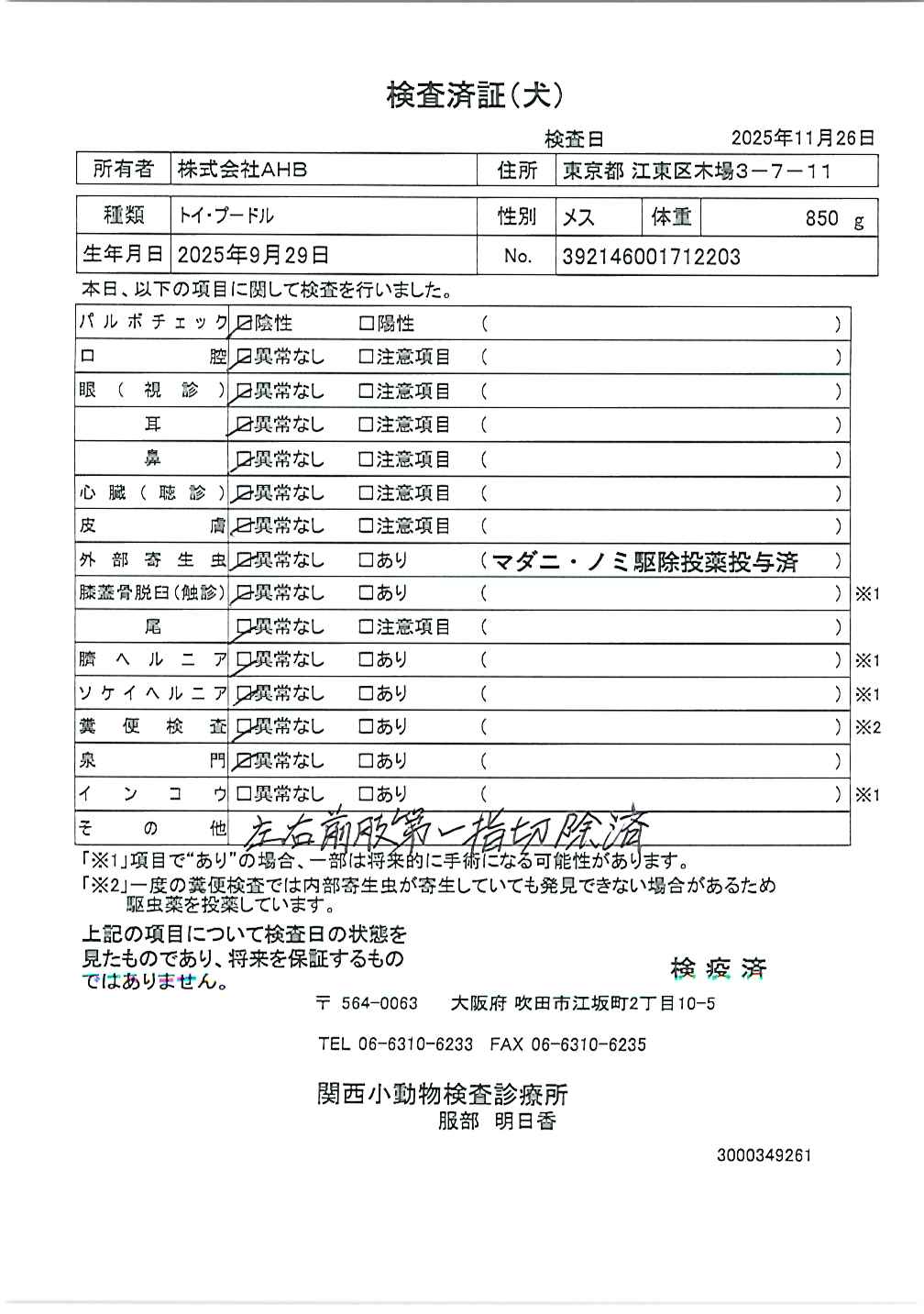 トイ・プードル