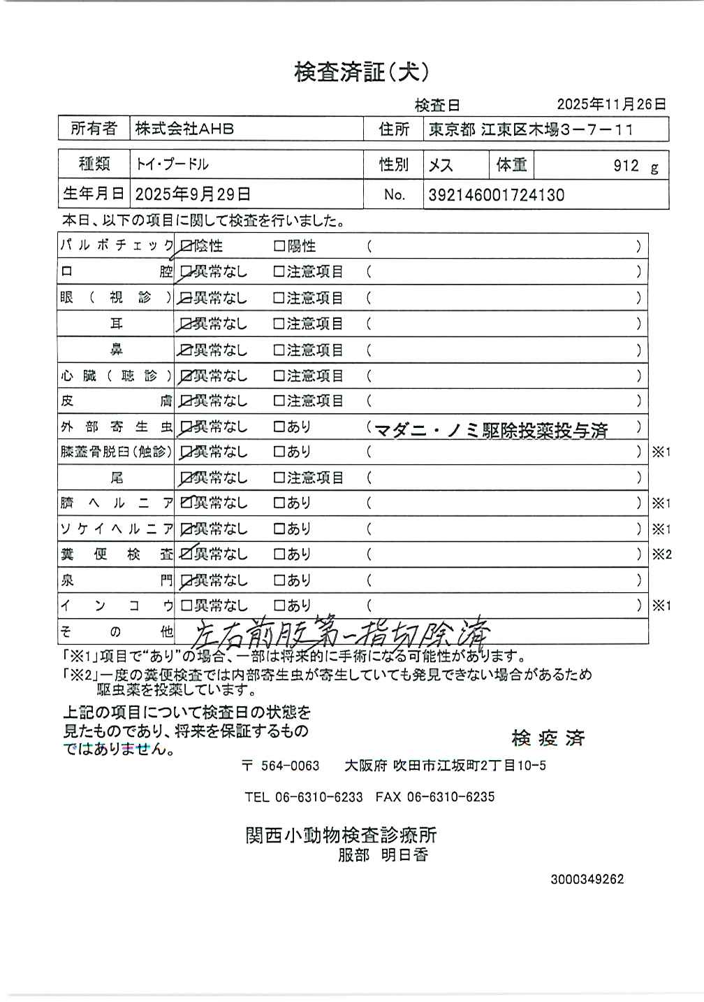 トイ・プードル