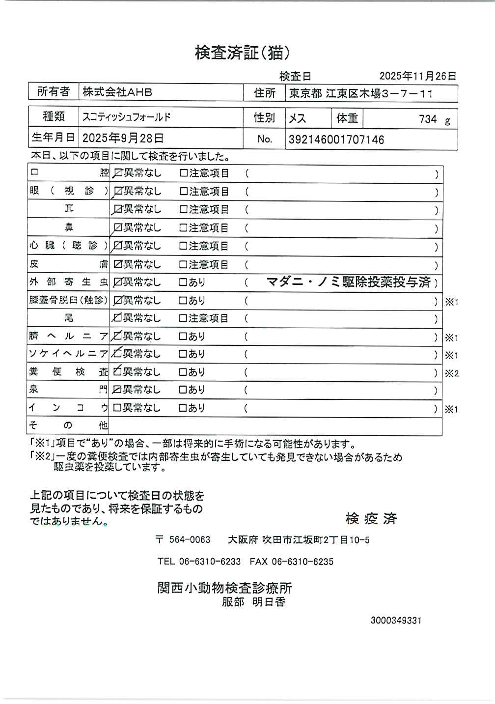 スコティッシュフォールド