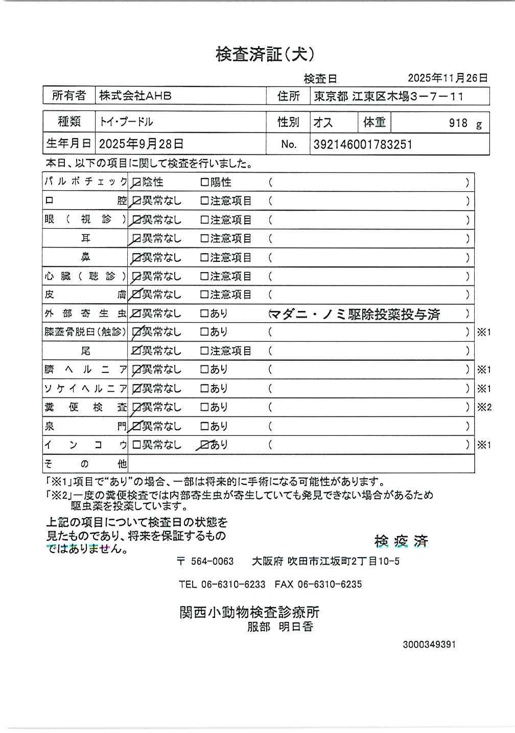 トイ・プードル