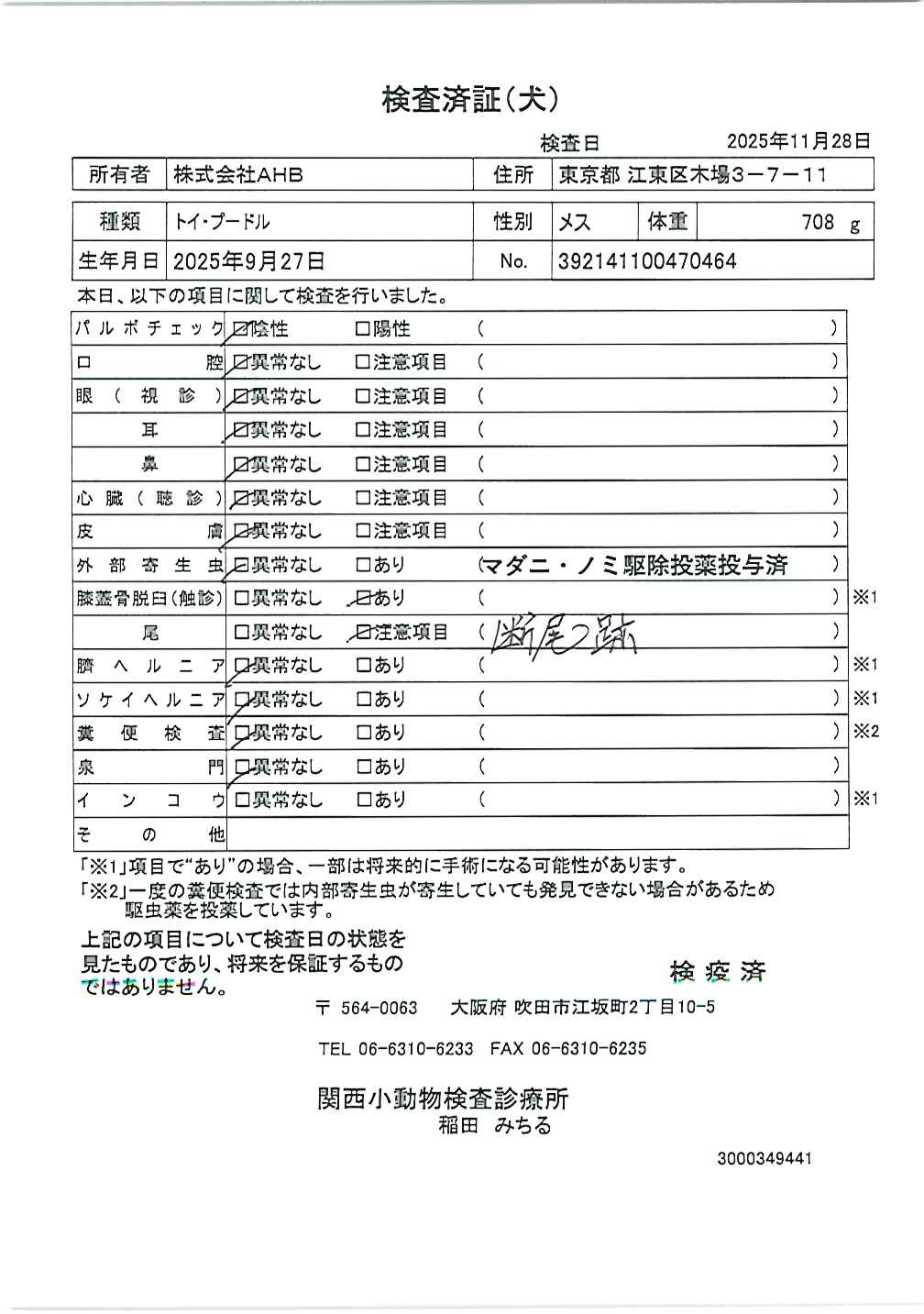トイ・プードル
