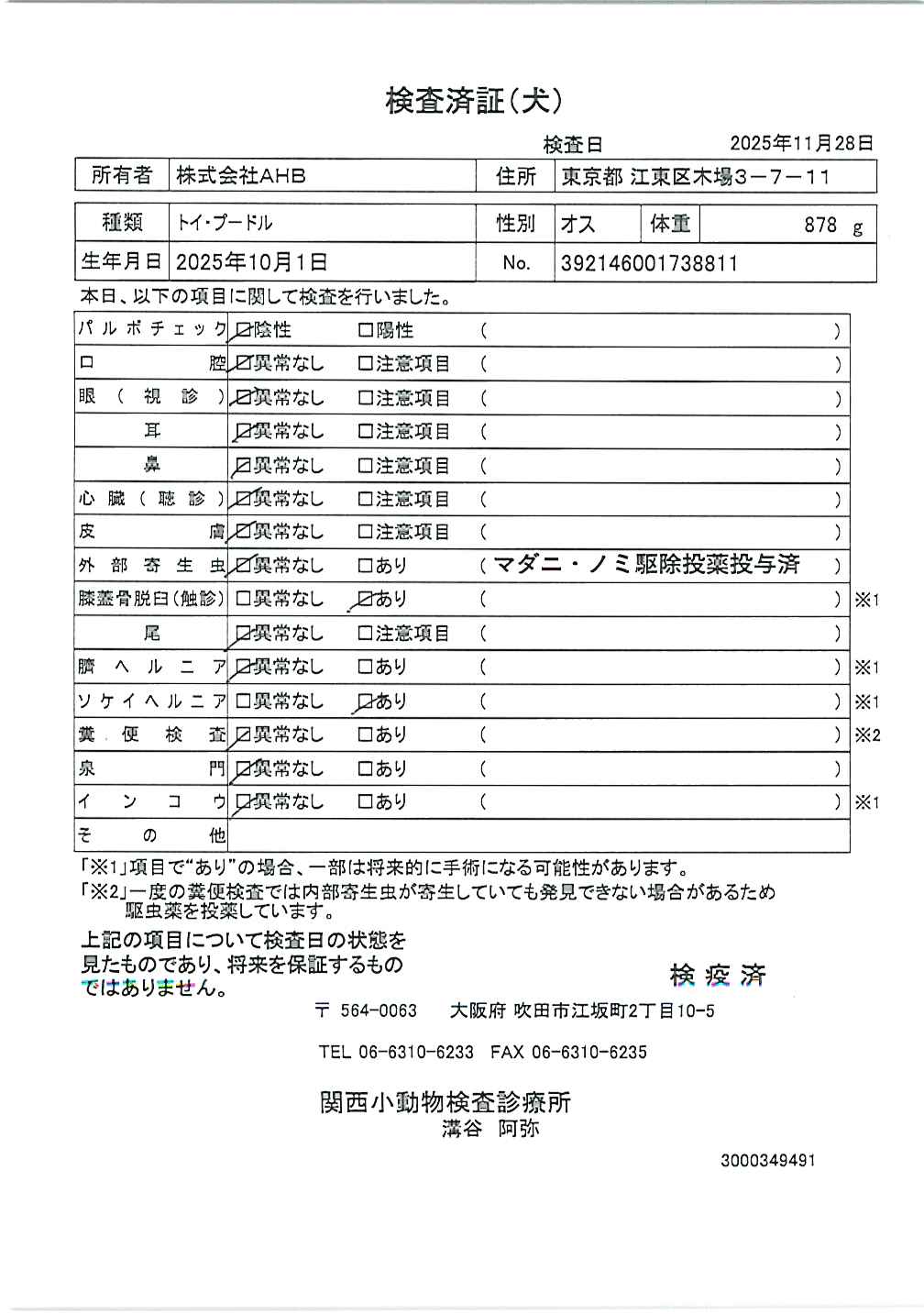 トイ・プードル