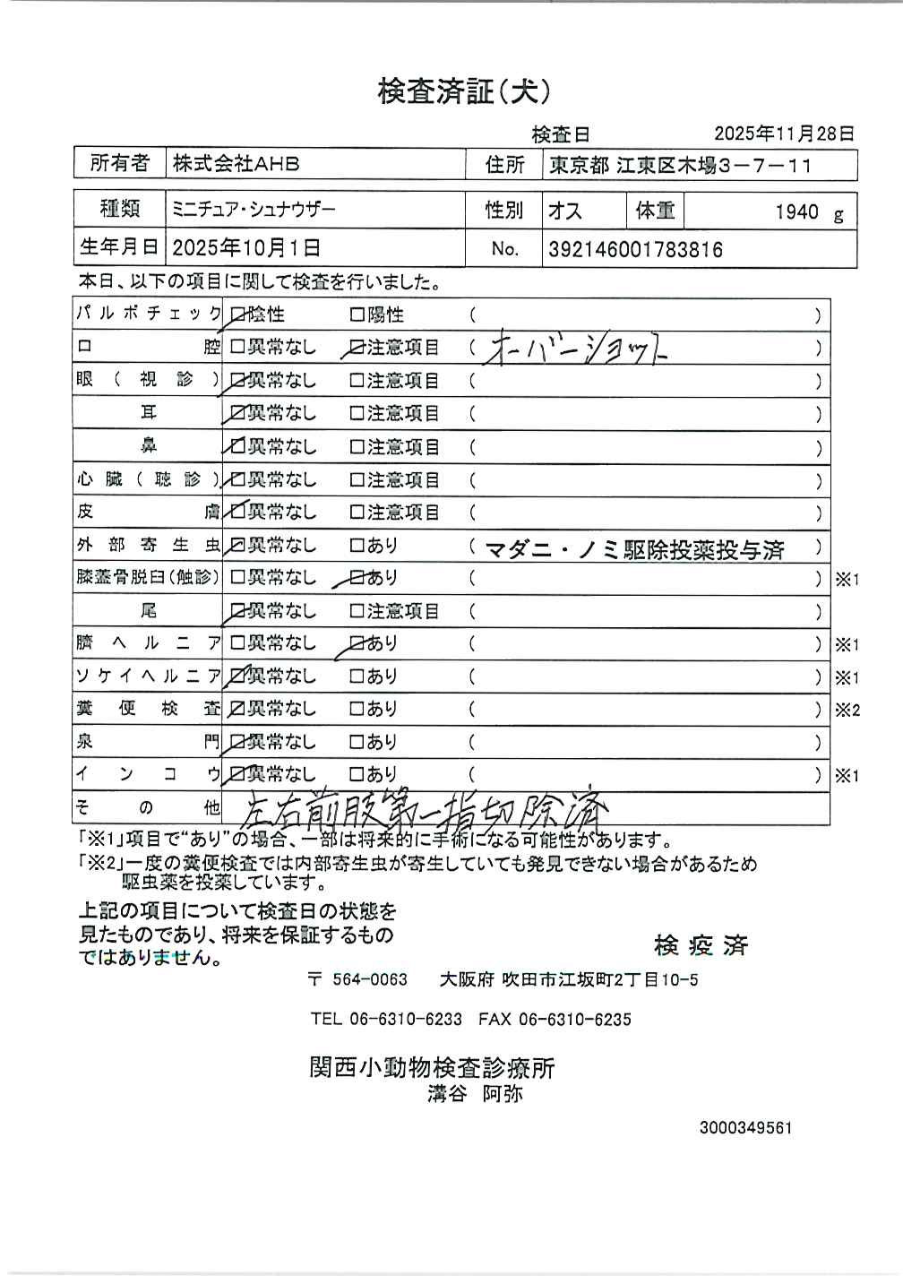 ミニチュア・シュナウザー