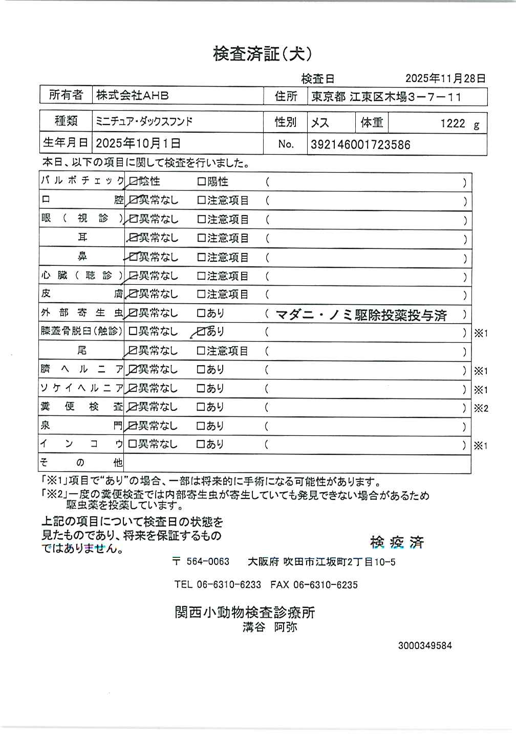 ミニチュア・ダックスフンド