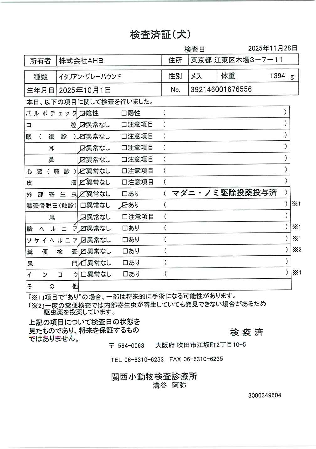 イタリアン・グレーハウンド