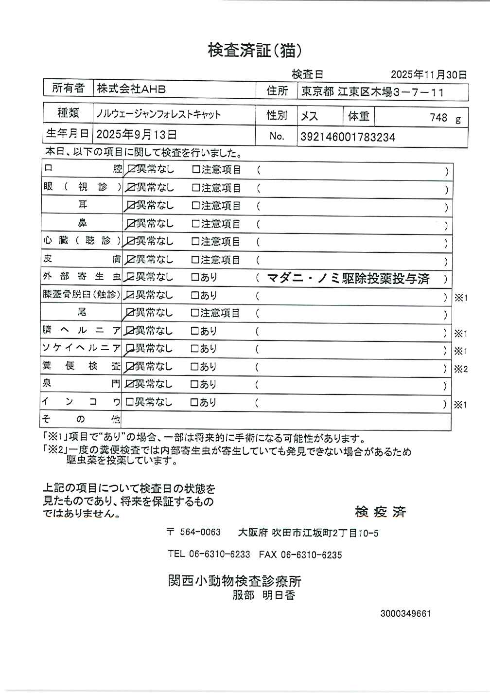 ノルウェージャンフォレストキャット