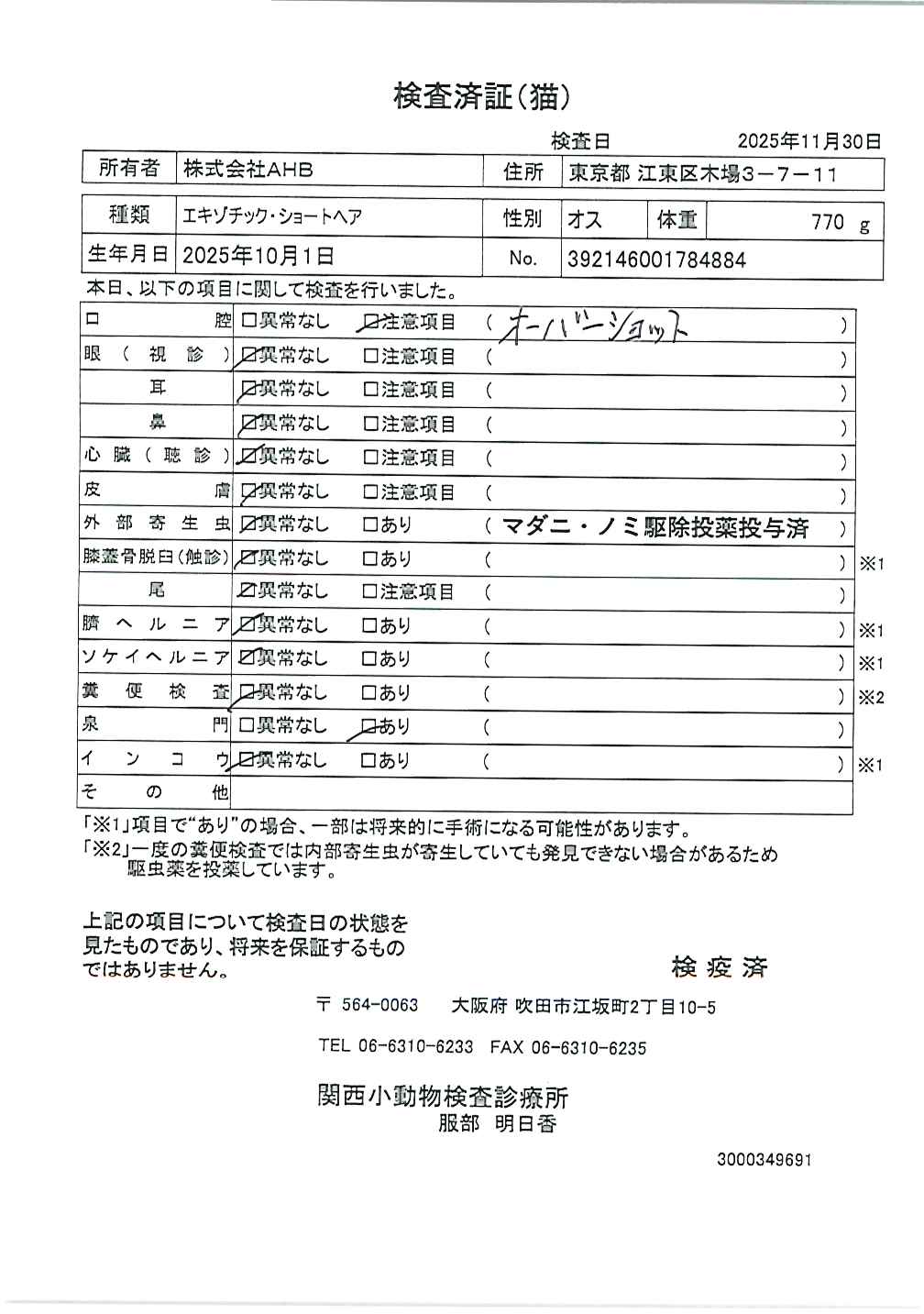 エキゾチック・ショートヘア