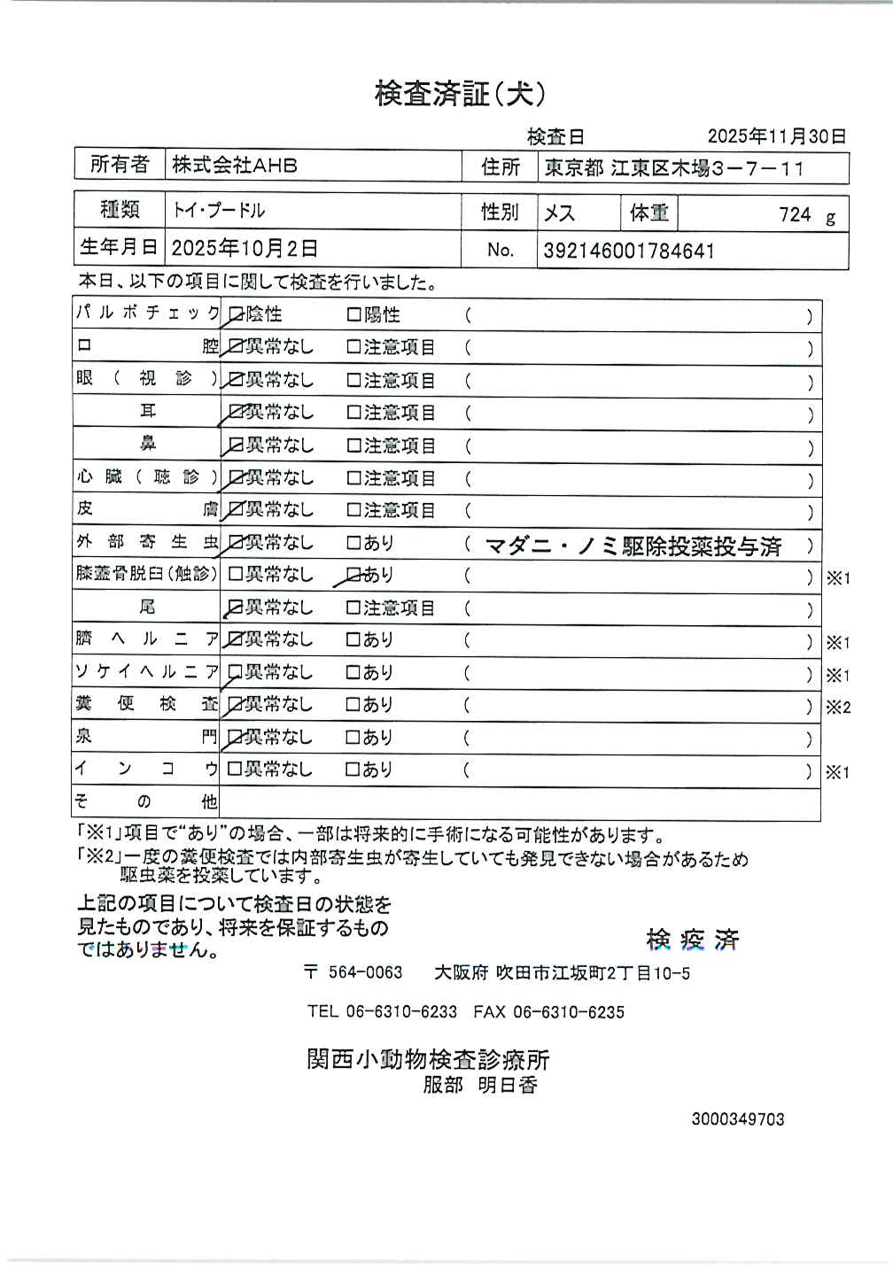トイ・プードル