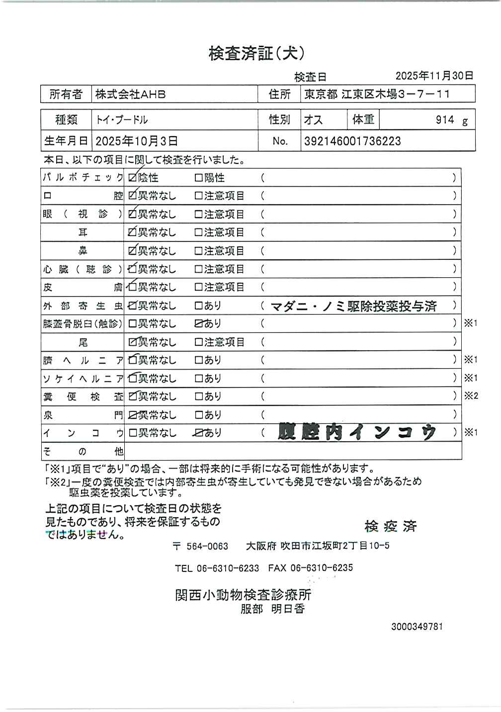 トイ・プードル