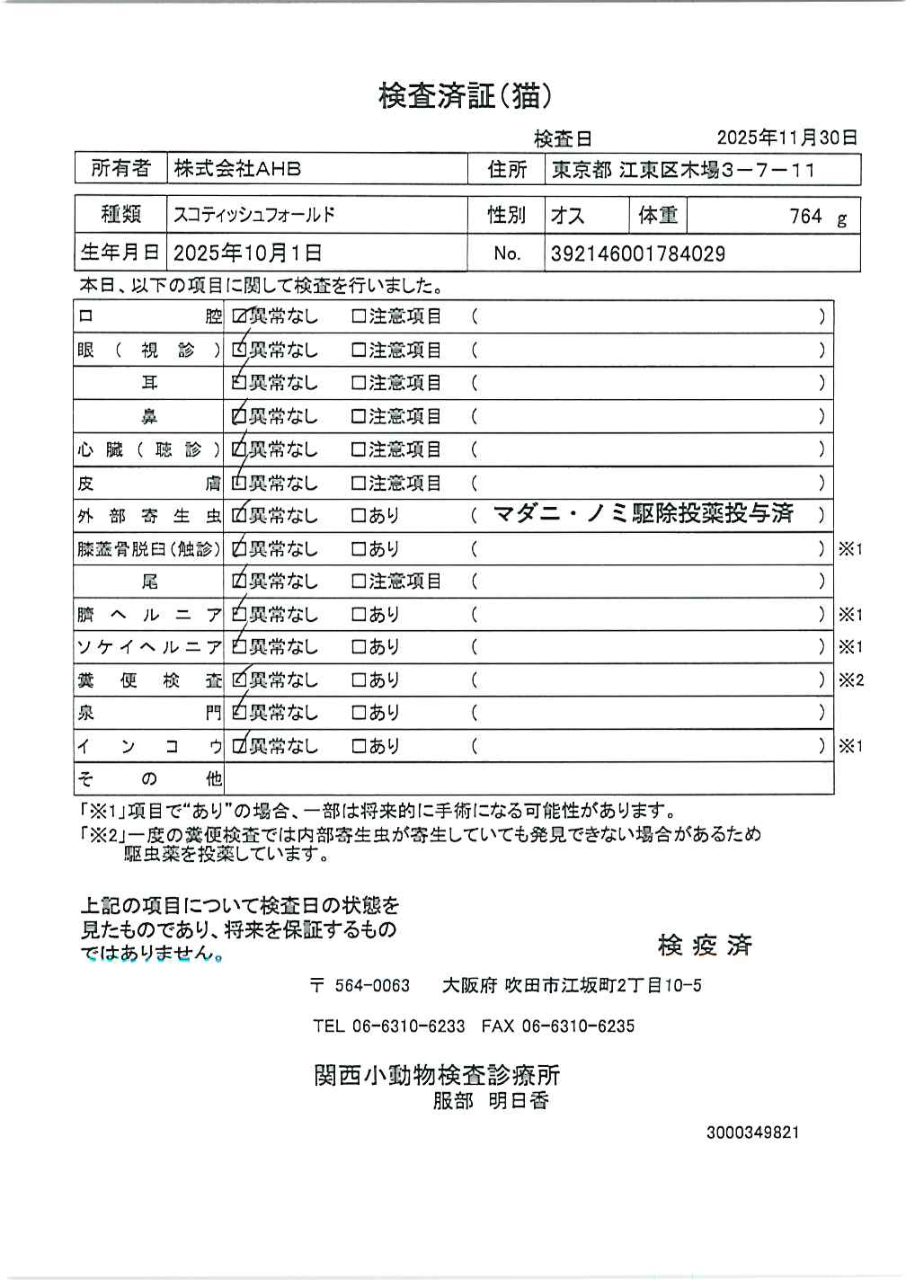 スコティッシュフォールド