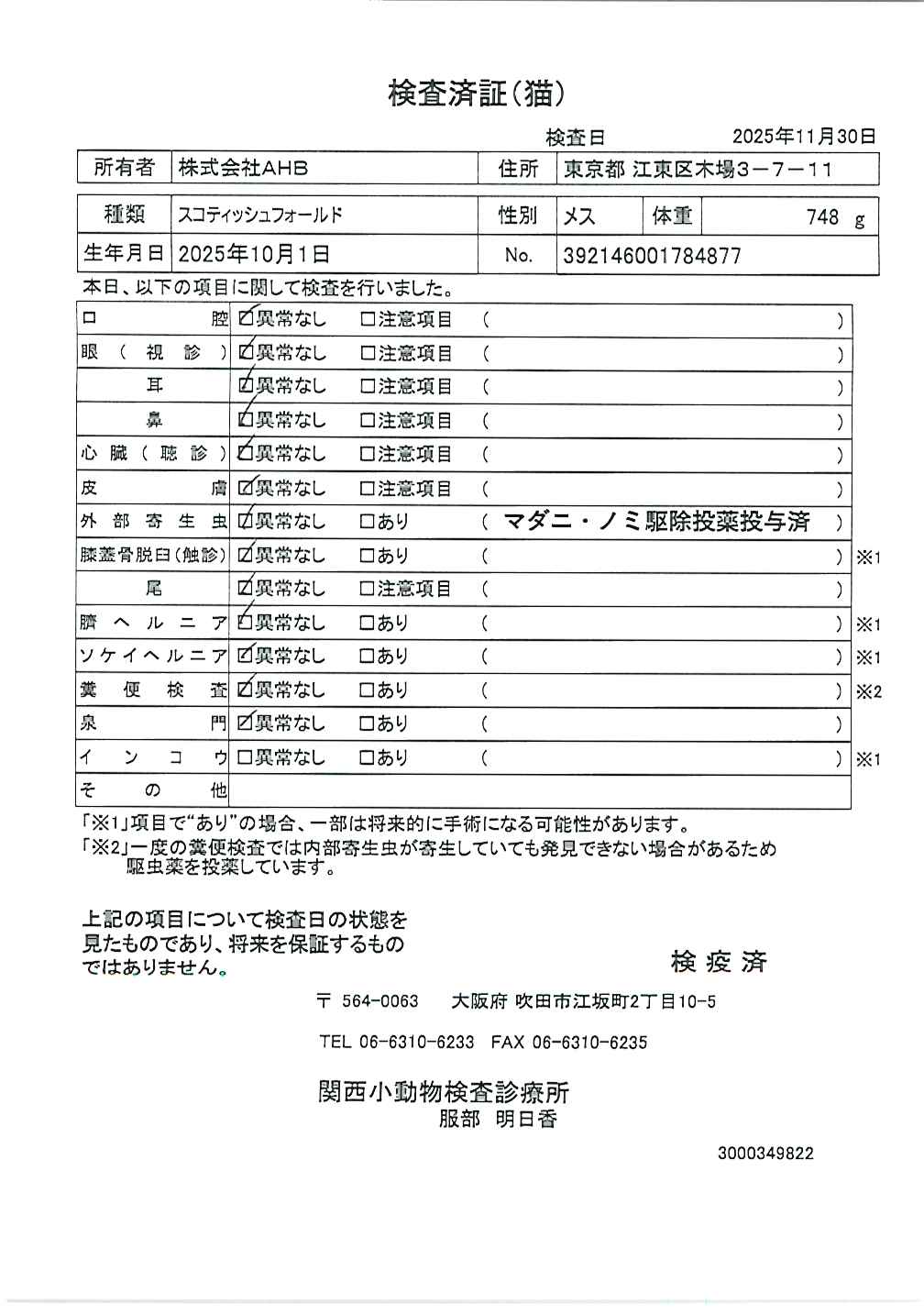 スコティッシュフォールド