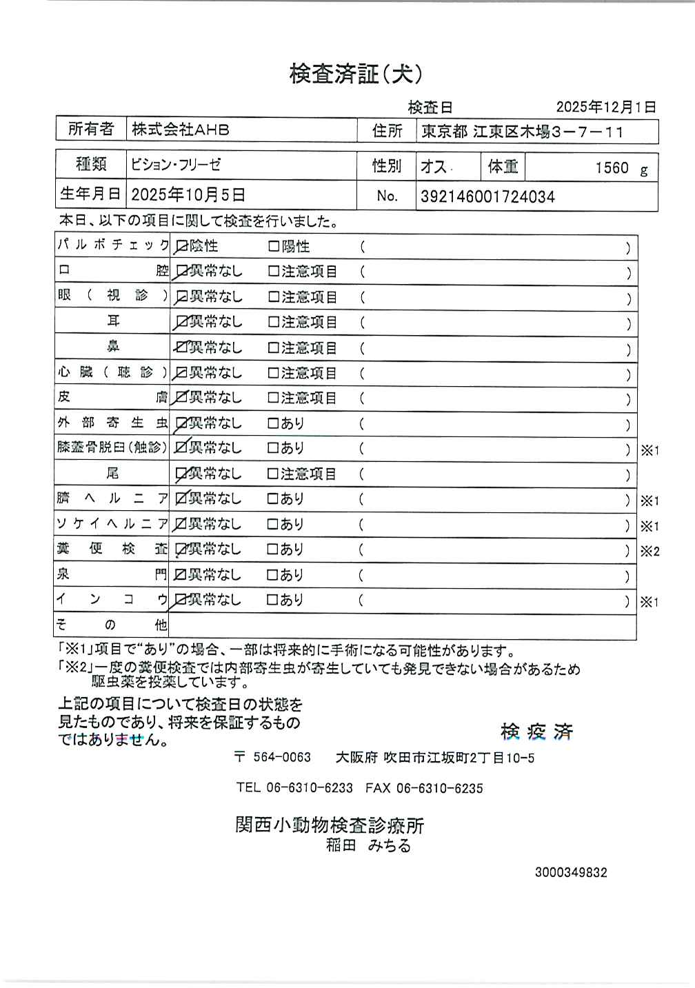 ビション・フリーゼ