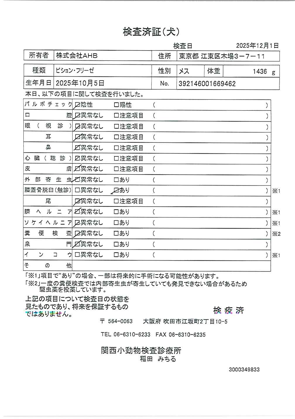 ビション・フリーゼ