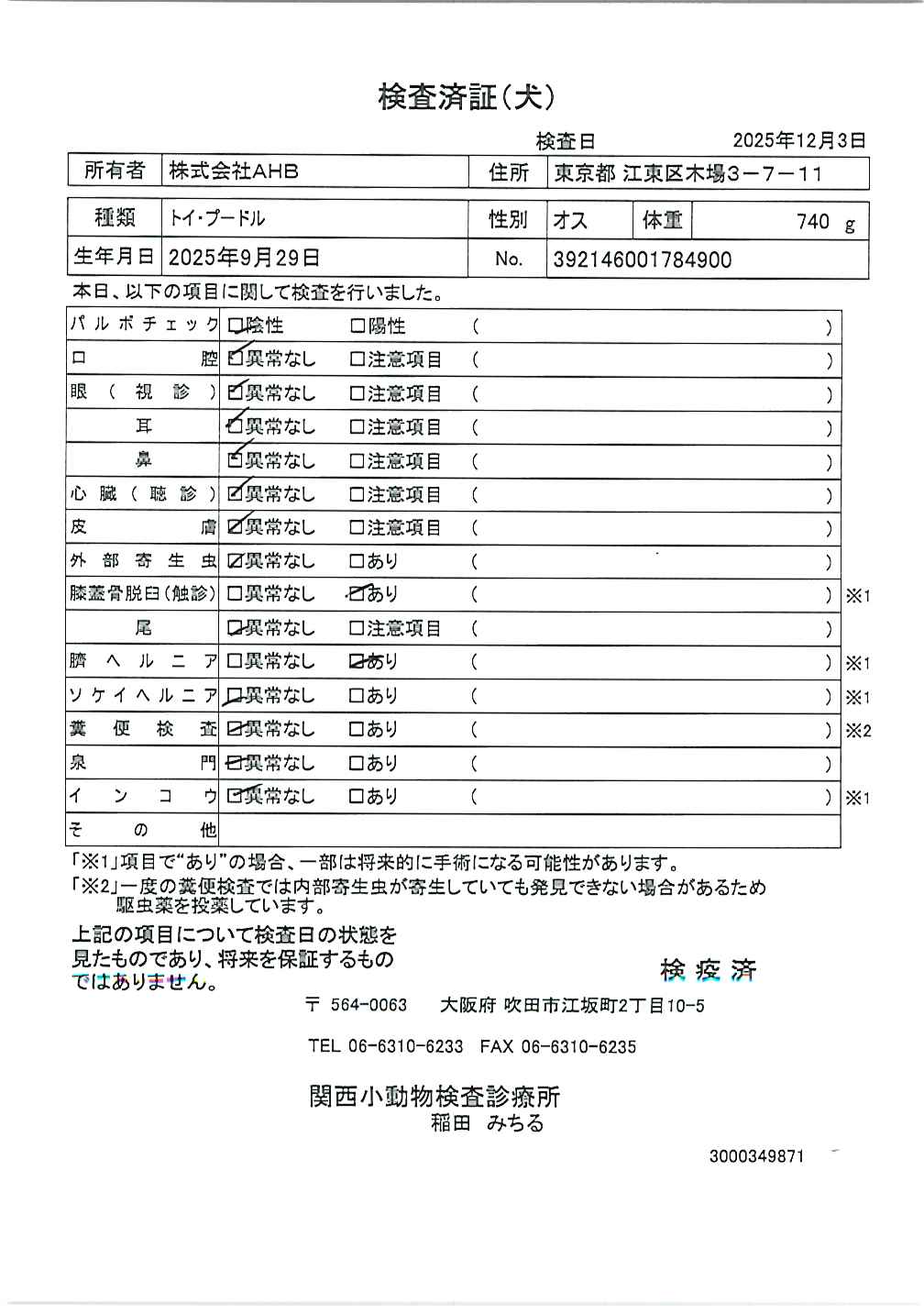 トイ・プードル