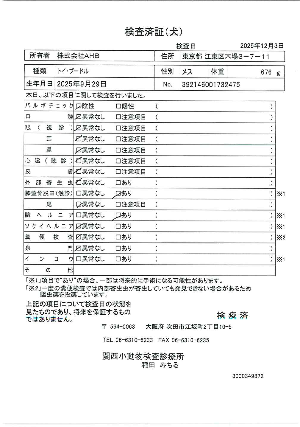 トイ・プードル
